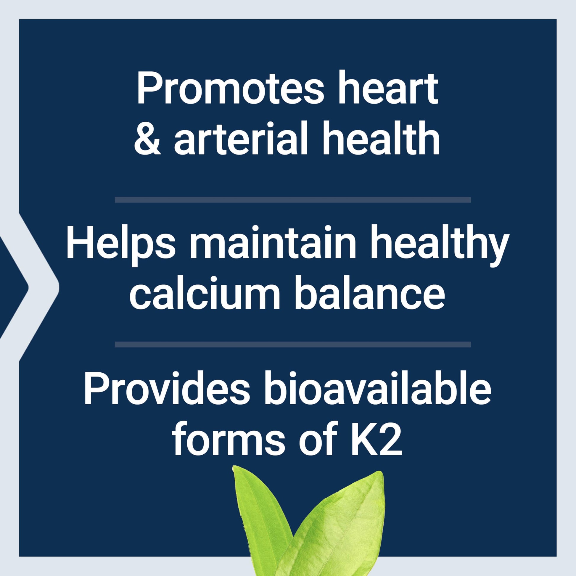 Life Extension Super K, vitamin K1, vitamin K2 mk-7, vitamin K2 mk-4, vitamin C, bone/heart/arterial health, 3-month supply, Gluten-Free, 1 Daily, Non-GMO, 90 softgels Nirvana Guru