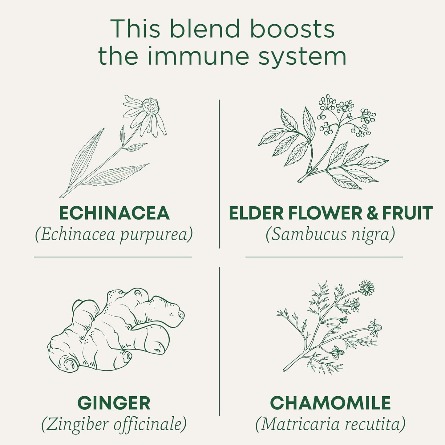 Traditional Medicinals Tea, Organic Echinacea Plus Elderberry, Boosts the Immune System, 16 Tea Bags - Nirvana Guru