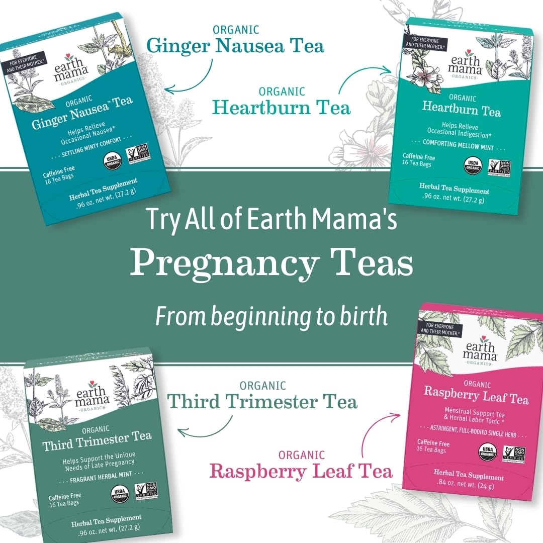 Earth Mama Organic Third Trimester Tea Bags | 100% USDA Organic Herbal Tea for Late Pregnancy Comfort + Childbirth Preparation, 16 Teabags Per Box (2-Pack) Nirvana Guru