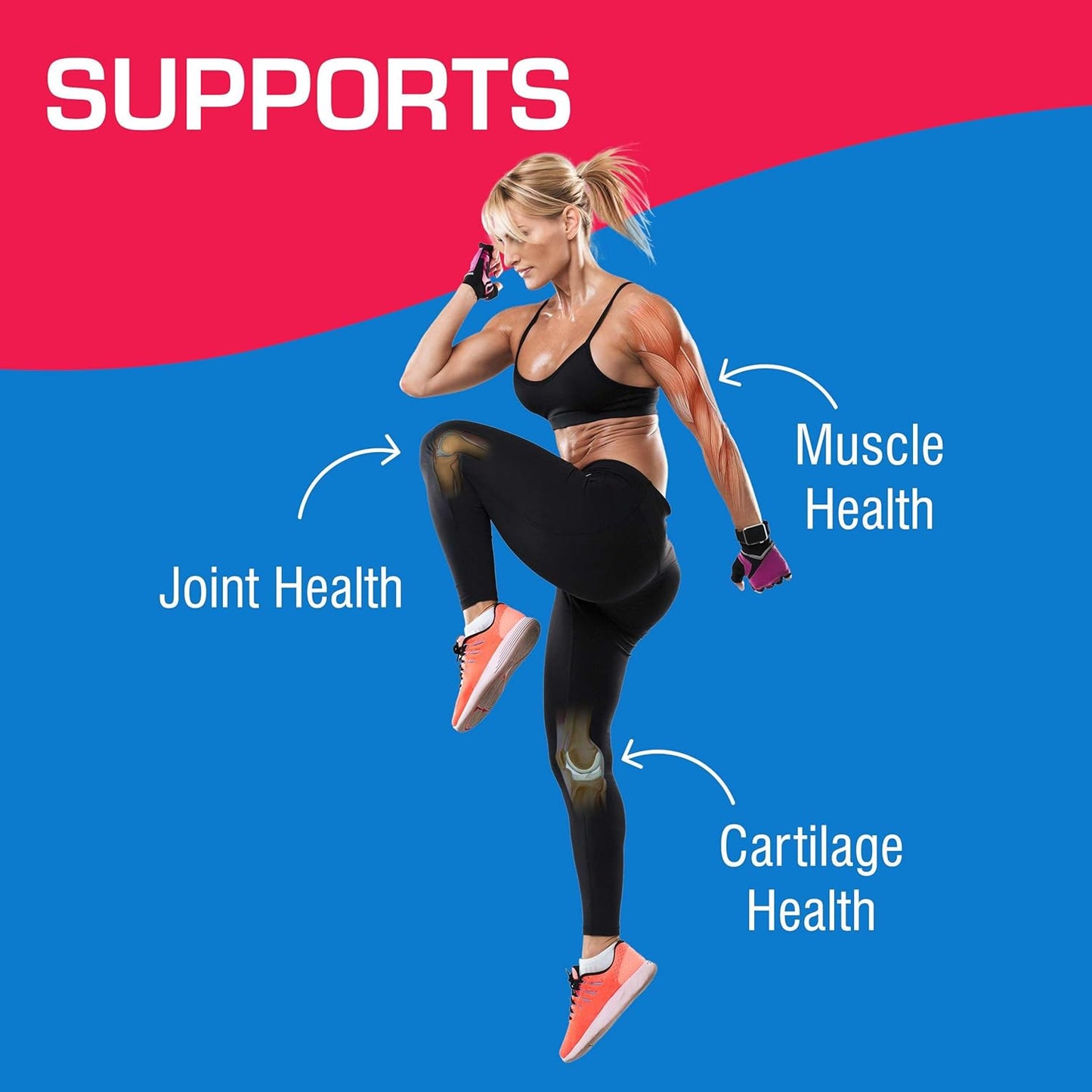 High Absorption Glucosamine Chondroitin MSM - Clinical Formula Bone Joint Tendon and Ligament Supplement with MSM Glucosamine Chondroitin - Non-GMO Gluten Free & Made in The USA - 120 Servings Nirvana Guru
