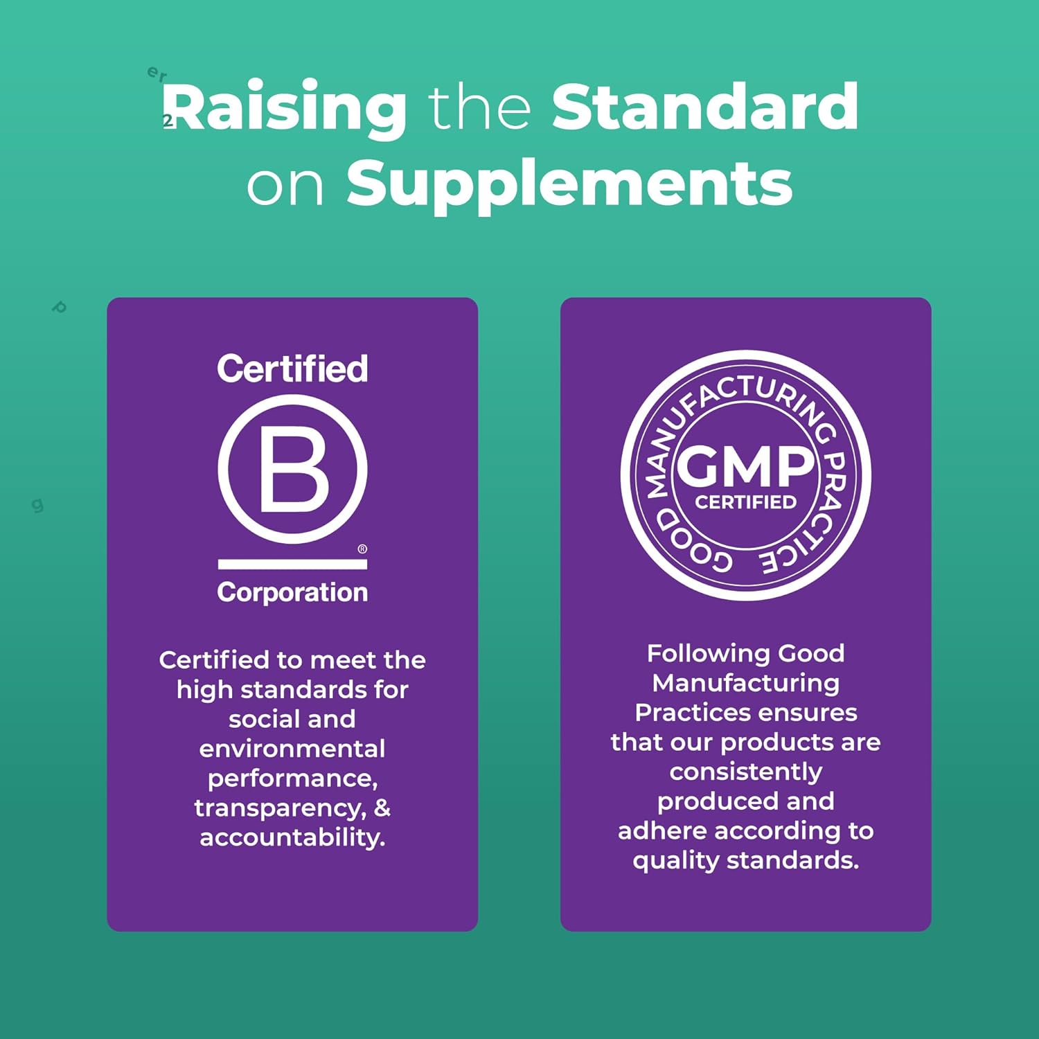 MaryRuth Organics Kids Immune Support Gummies | USDA Organic | Vitamin C, Zinc, and Elderberry Gummies for Kids| Immune Support for Ages 4+ | Vegan | Non-GMO | Gluten Free | 60 Count - Nirvana Guru