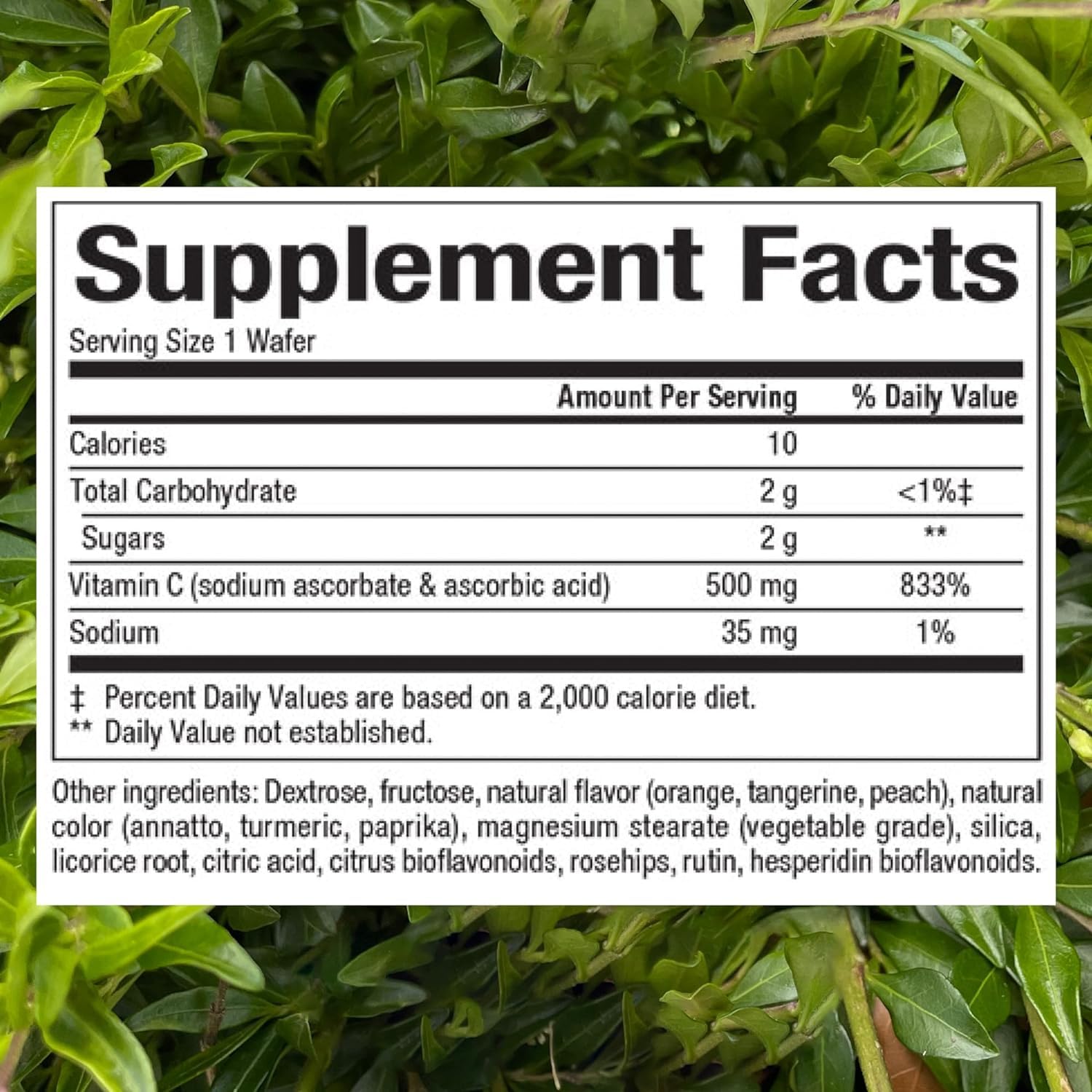 Natural Factors, Kids Chewable Vitamin C 500 mg, Supports Immune Health, Bones, Teeth and Gums, Tangy Orange, 180 Count (Pack of 1) - Nirvana Guru