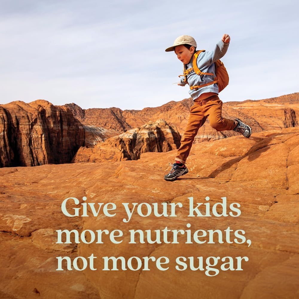 New Chapter Kids Multivitamin Gummies - 50% Less Sugar, Kids Gummy Vitamins with Vitamins C, D3 & Zinc, Non-GMO, Gluten Free, Berry-Citrus, 60ct - Nirvana Guru
