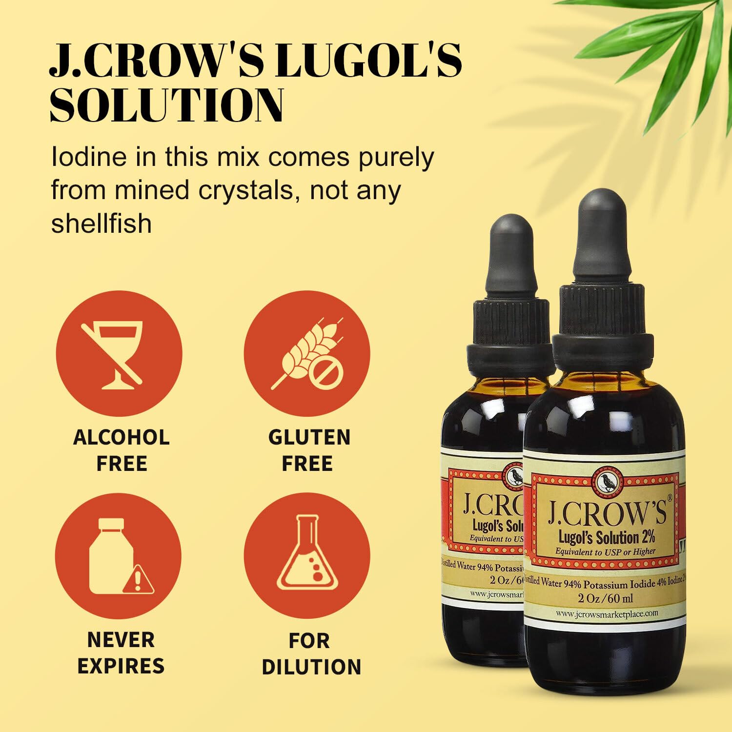 J.CROW'S® Lugol's Solution of Iodine 2% 2 oz (1 Bottle) – Premium Potassium Iodide Liquid, Supports Thyroid & Energy, Gluten &, Alcohol-Free Natural Brine Extract, No Expiration Nirvana Guru