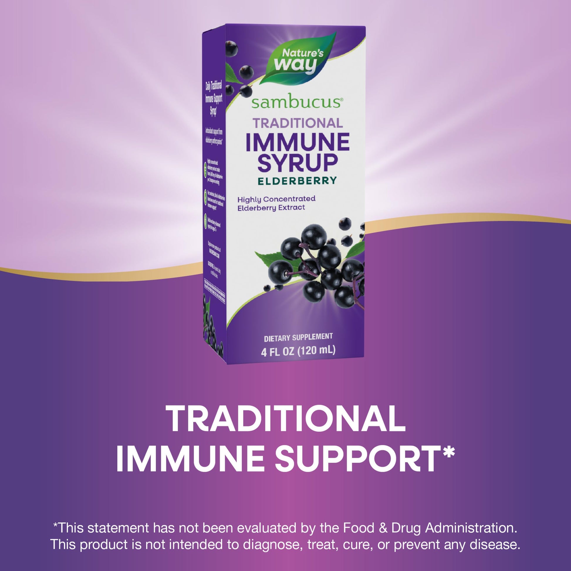 Nature’s Way Sambucus Elderberry Traditional Immune Syrup, Highly Concentrated Black Elderberry Extract, Traditional Immune Support*, Delicious Berry Flavored, 8 Fl Oz (Packaging May Vary) - Nirvana Guru