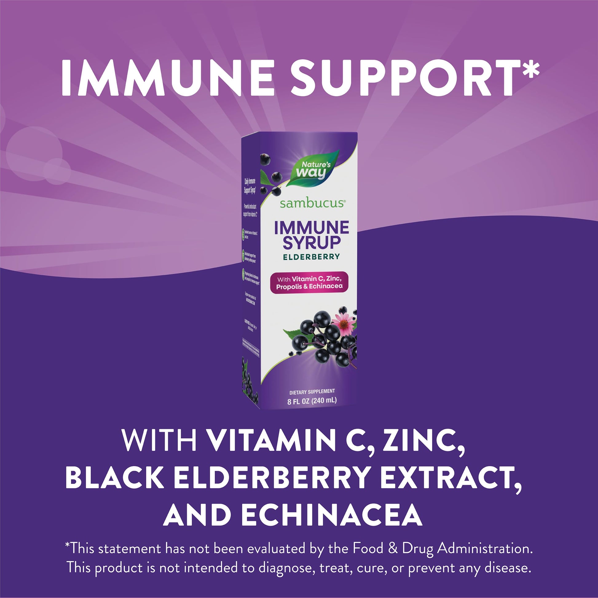 Nature's Way Sambucus Immune Syrup, Elderberry Extract, Vitamin C, Zinc, Echinacea, Propolis, Daily Immune Support*, Antioxidant Support*, Gluten free, Vegetarian, 8 Fl Oz - Nirvana Guru