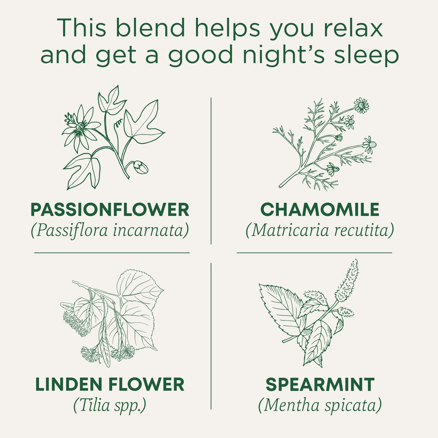 Traditional Medicinals Organic Nighty Night Extra Tea With Valerian Root for Relaxation, 16 Tea Bags (Pack of 1) - Nirvana Guru