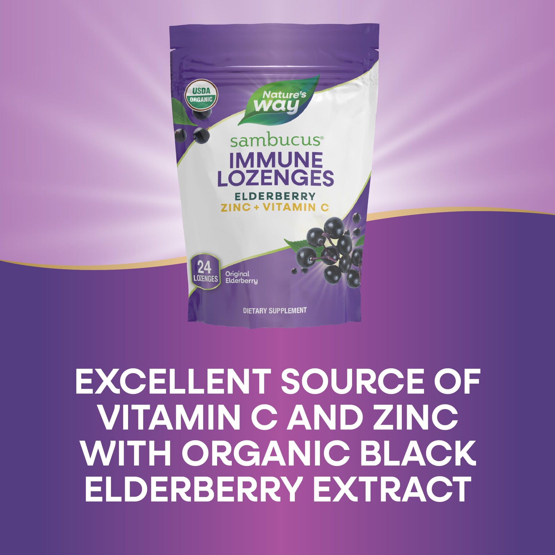 Nature's Way Organic Sambucus Zinc Lozenges - With Elderberry & Vitamin C - Vegan & Gluten Free - 24 Lozenges (Pack of 3) - Nirvana Guru