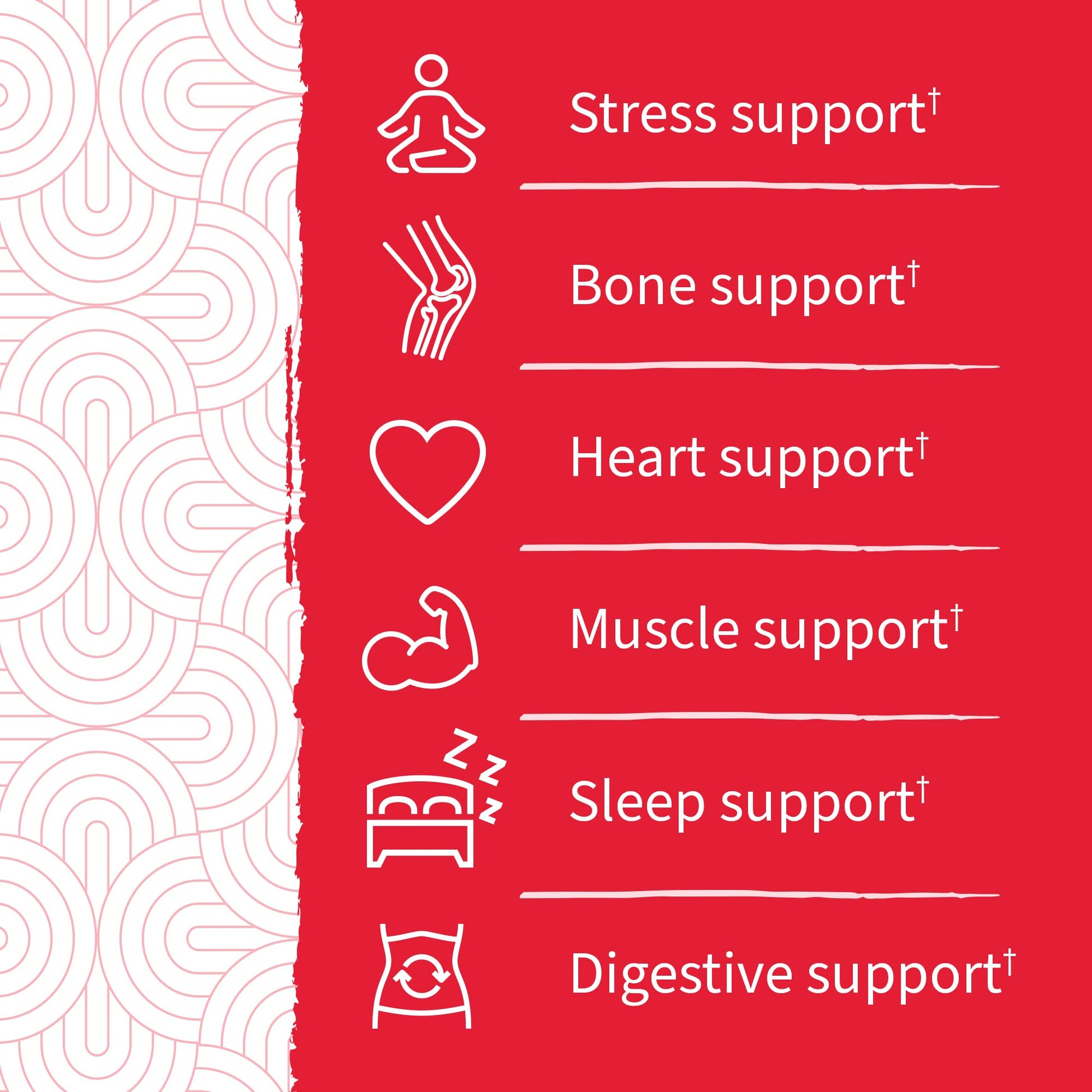 Garden of Life - Dr Formulated Magnesium Citrate Supplement with Prebiotics & Probiotics for Stress, Sleep & Recovery - Vegan, Gluten Free, Kosher, Non-GMO, No Added Sugars – 60 Raspberry Gummies - Nirvana Guru