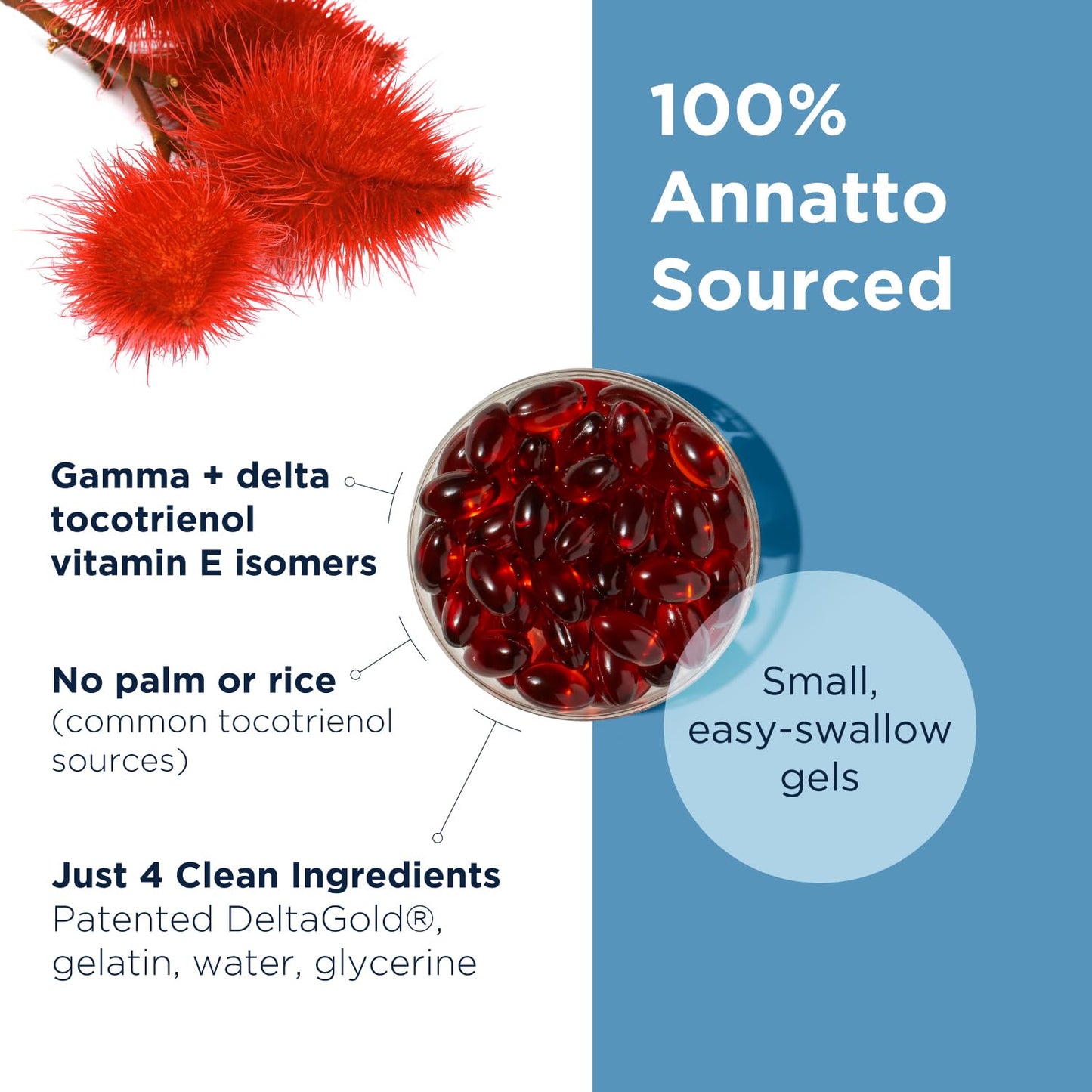 Designs for Health Annatto-E 300mg Tocotrienols Vitamin E - Delta + Gamma Tocotrienols to Support Heart Health, Eye Health, Healthy Aging - DeltaGold Antioxidants Supplement (60 Vitamin E Softgels) Nirvana Guru