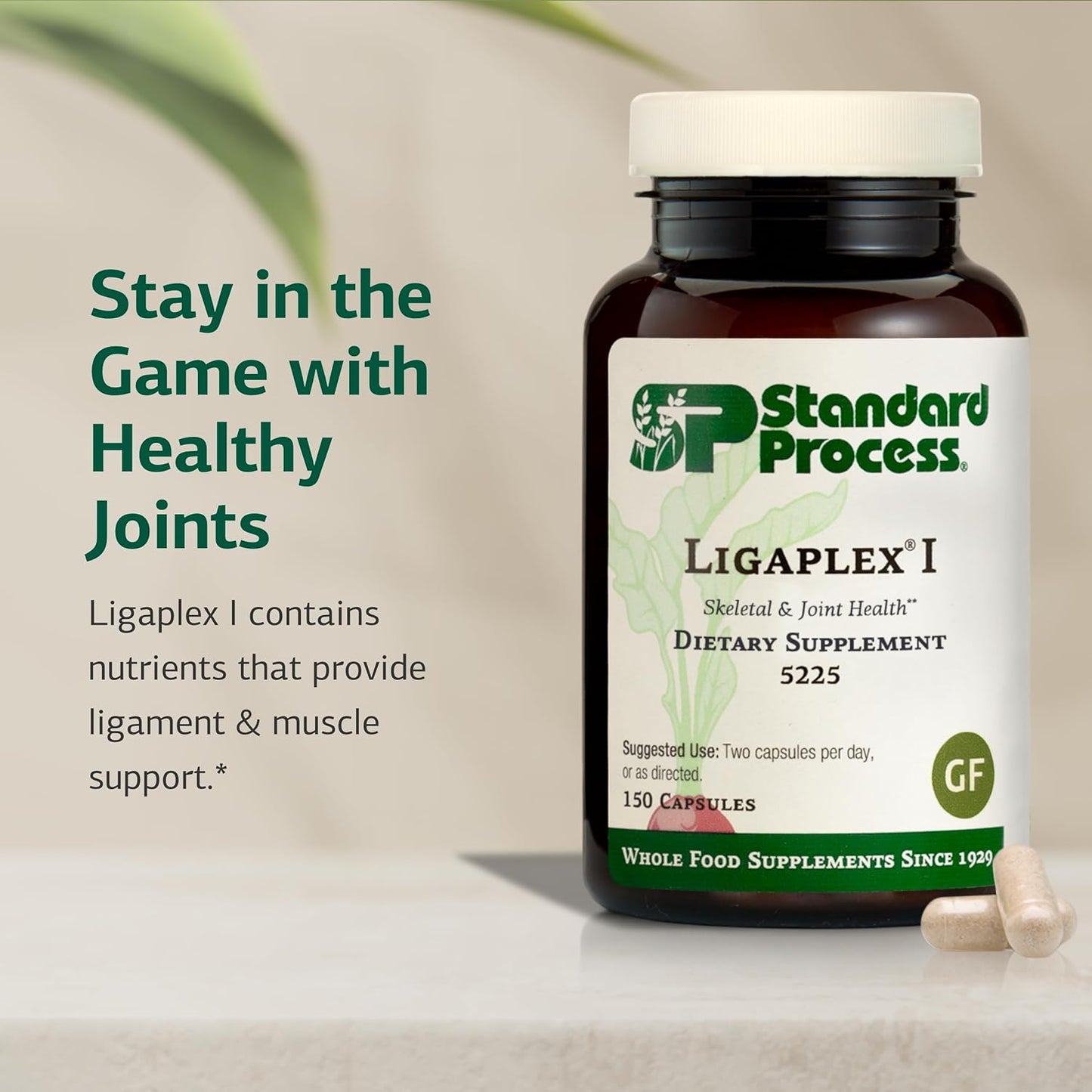 Standard Process Ligaplex I - Joint Support Supplement for Ligament & Cartilage Health - Bone Strength Support - Non-Soy, Gluten-Free & Non-Dairy - 150 Capsules Nirvana Guru