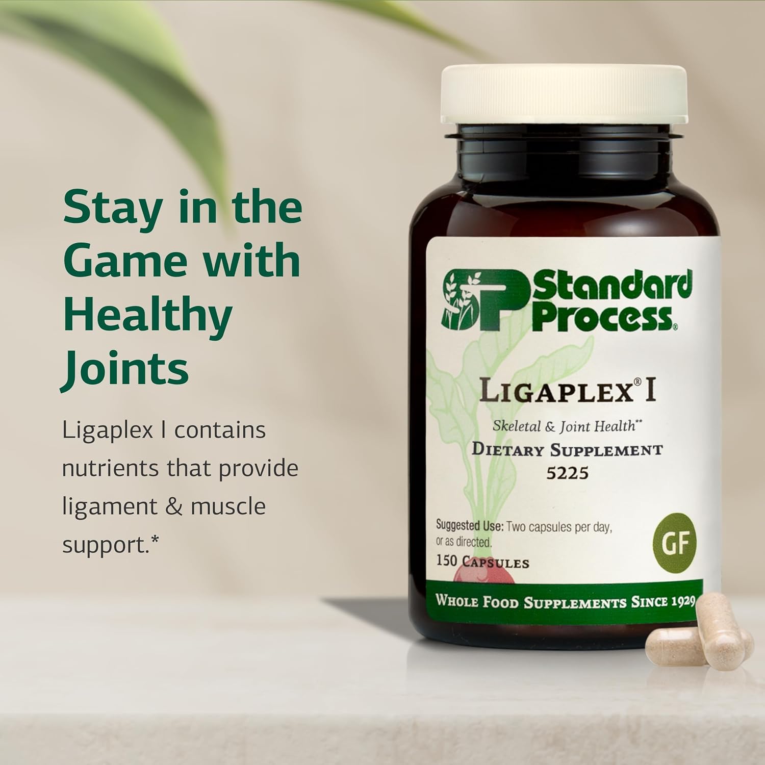 Standard Process Ligaplex I - Joint Support Supplement for Ligament & Cartilage Health - Bone Strength Support - Non-Soy, Gluten-Free & Non-Dairy - 150 Capsules Nirvana Guru