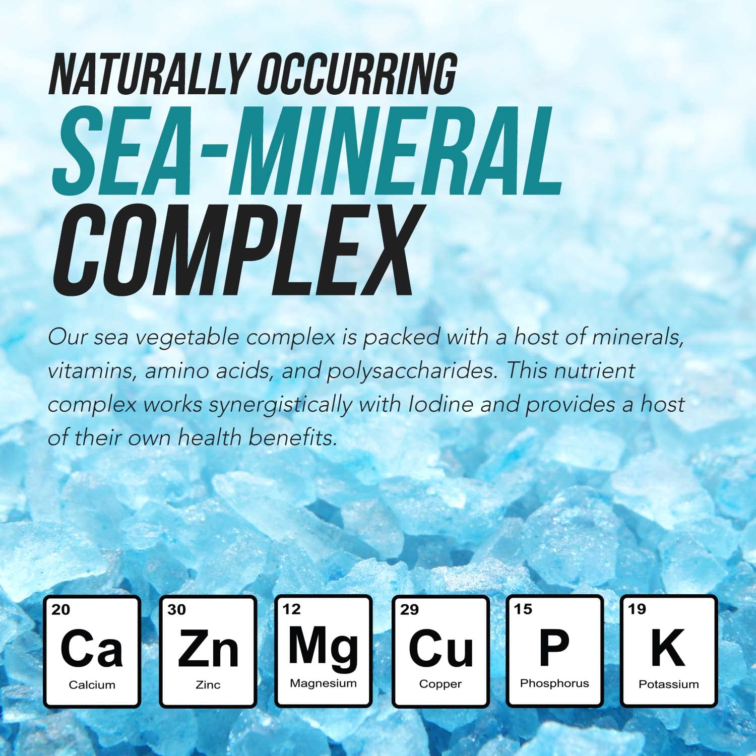 Organic Iodine Supplement from Sea Vegetable Complex, Whole Food & Raw Form - Iodine Plus Trace Mineral Complex – Contains Purest Icelandic Sea Kelp, Irish Moss & Bladderwrack (250 mcg) Nirvana Guru