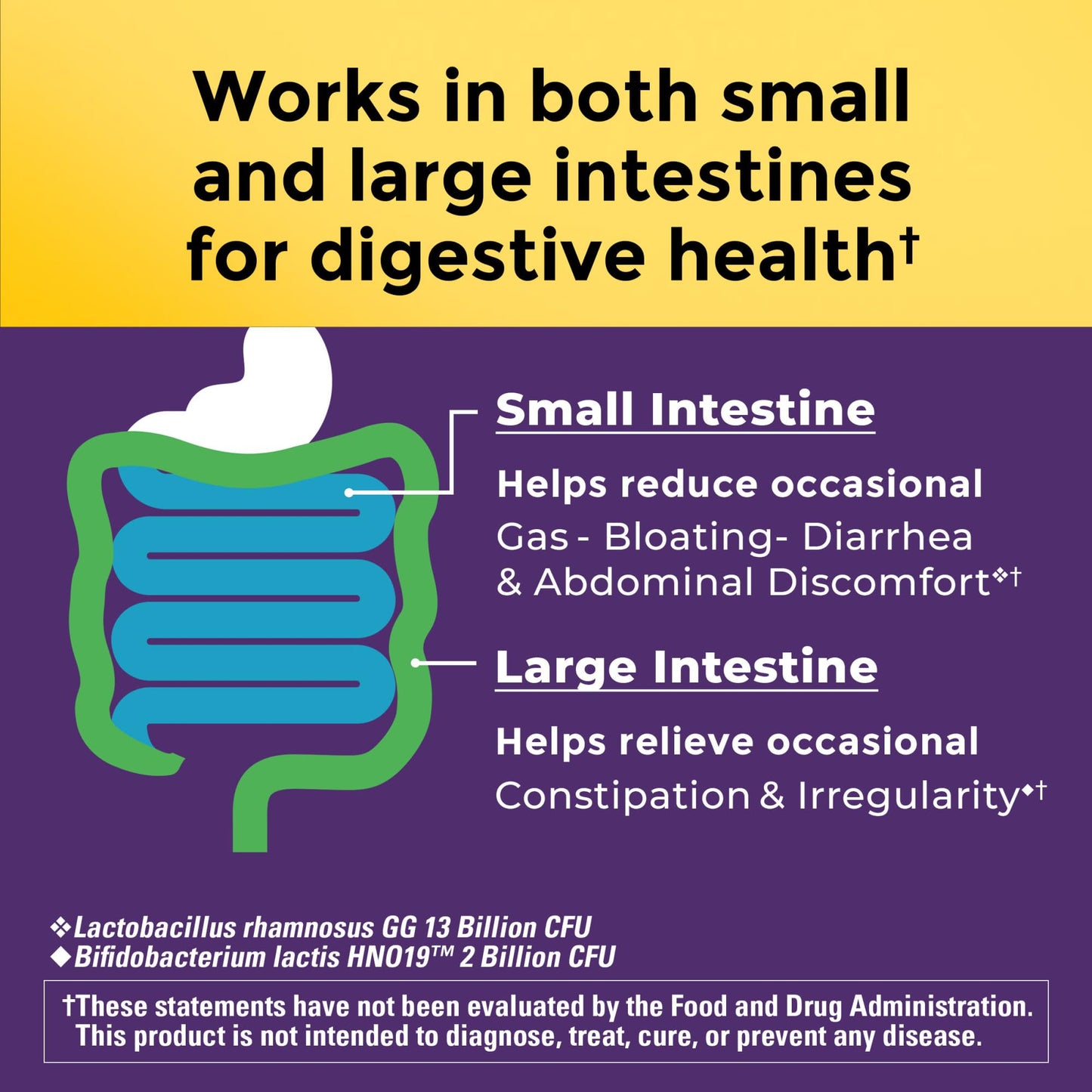 Nature Made Probiotics for Digestive Health Extra Strength 15 Billion CFU from Live Cultures, Probiotics for Women and Men, 30 Probiotic Capsules, 30 Day Supply - Nirvana Guru