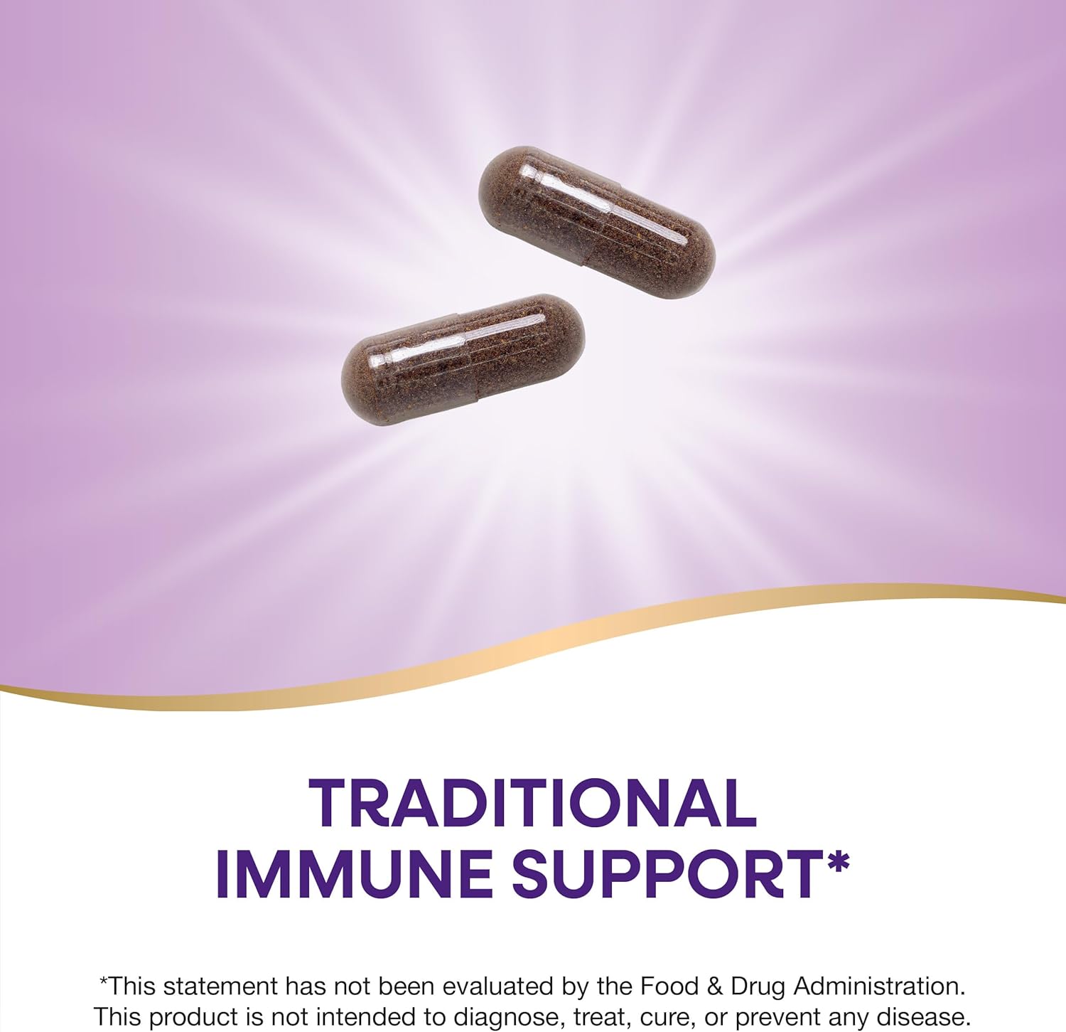 Nature's Way Black Elderberry Supplement, Traditional Immune Support*, With Elderberry and Elderflower, Plant Powered, 100 Capsules (Packaging May Vary) - Nirvana Guru