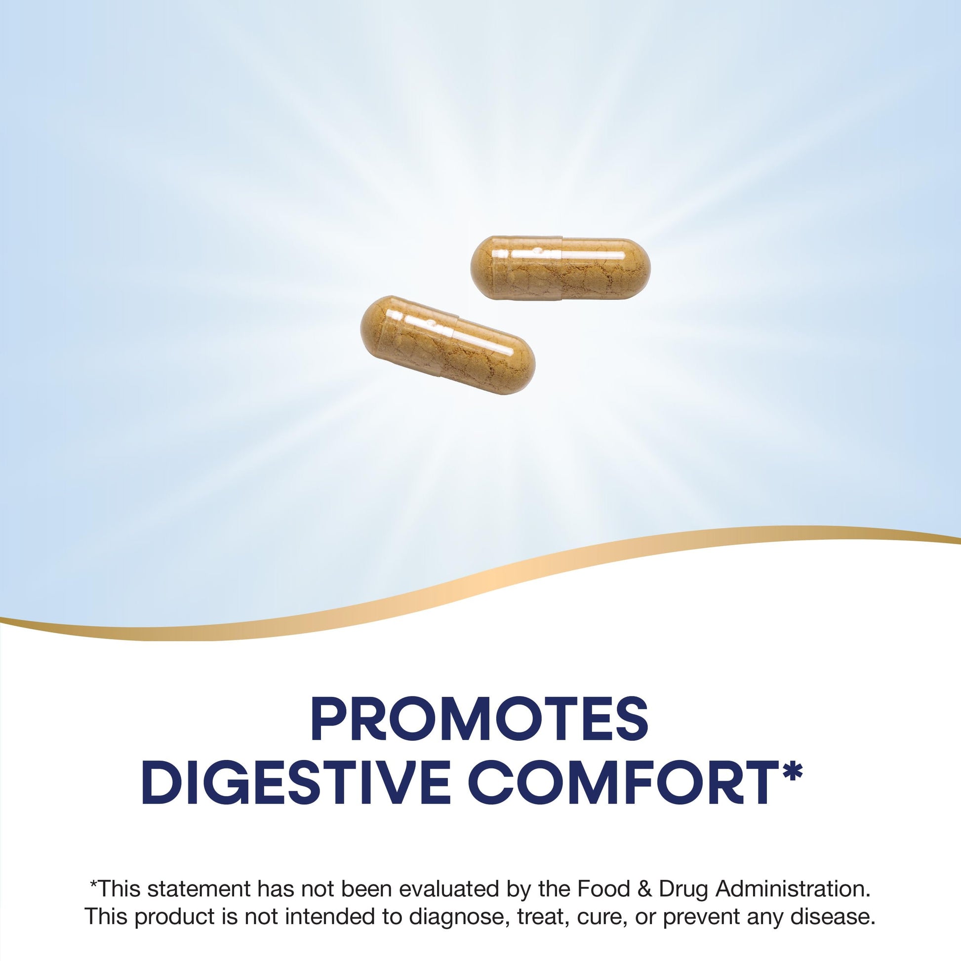 Nature's Way Ginger Root, Promotes Digestive Comfort*, Reduces Motion-Related Nausea*, 1,100 mg Per 2-capsule Serving, Non-GMO Project Verified, Vegan, 240 Capsules (Packaging May Vary) Nirvana Guru