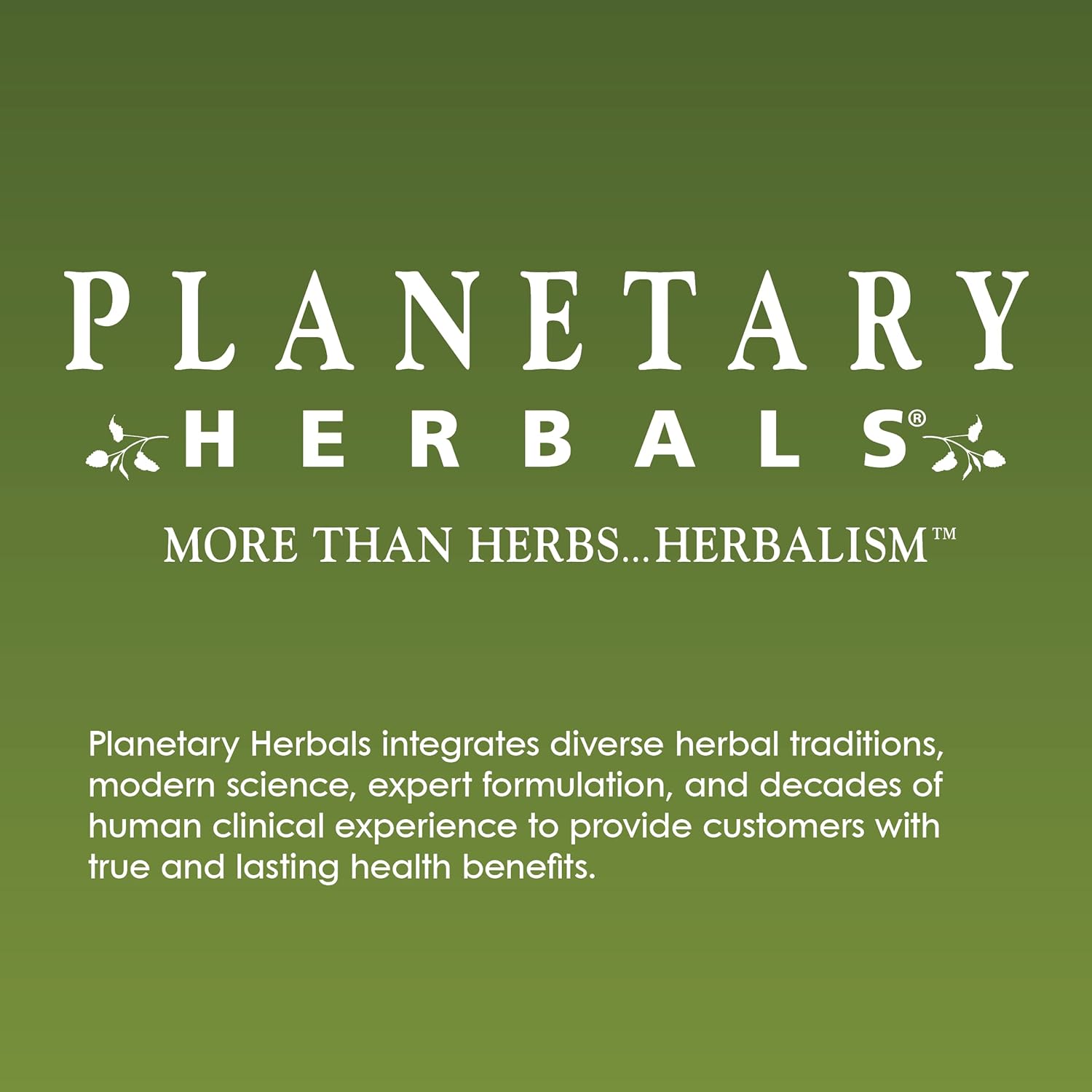 Planetary Herbals Positive Teens & Kids 435mg, Supports Emotional Well-Being,120 Tablets - Nirvana Guru