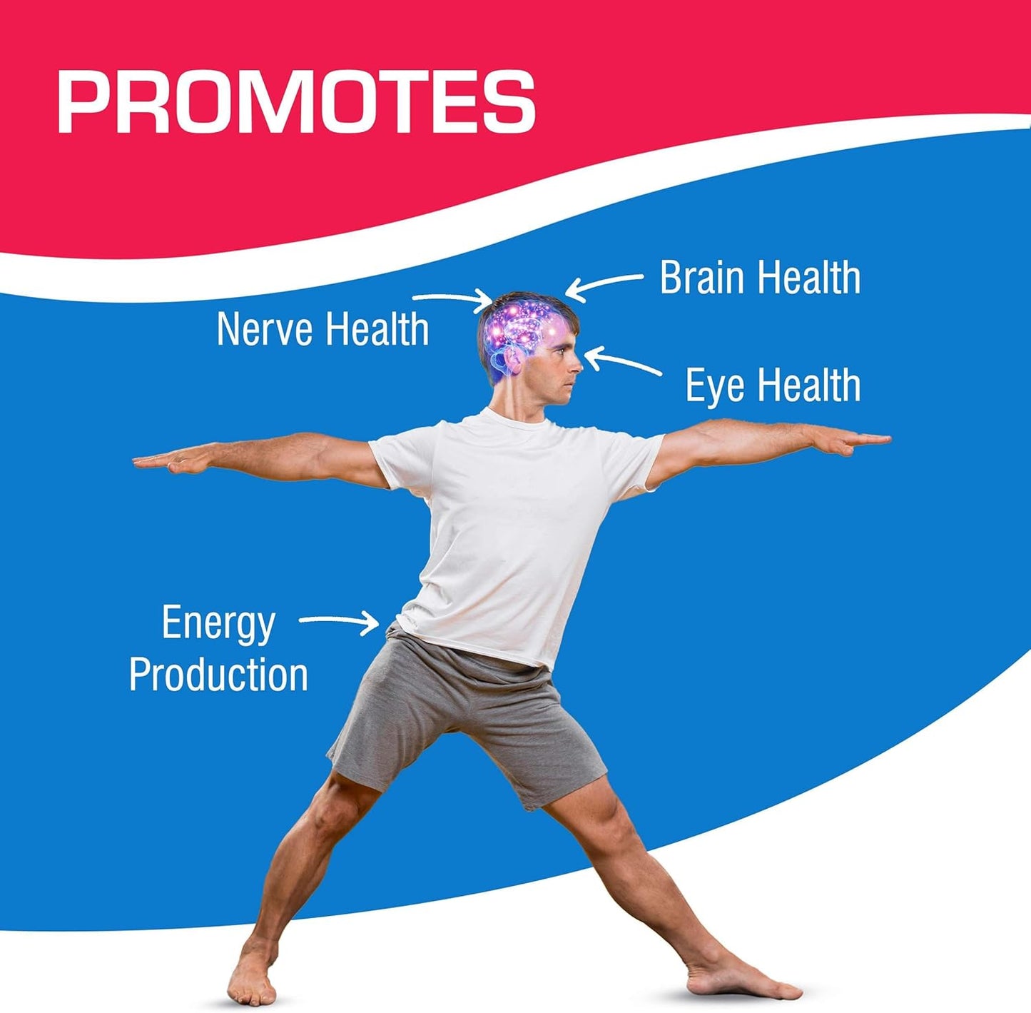 Alpha Lipoic Acid 300mg - Clinical Formula ALA Supplement for Liver Eye Brain Mitochondria Energy Antioxidant & Nerve Support - Non-GMO Soy Free & Easy to Swallow Softgels - 60 Servings Nirvana Guru