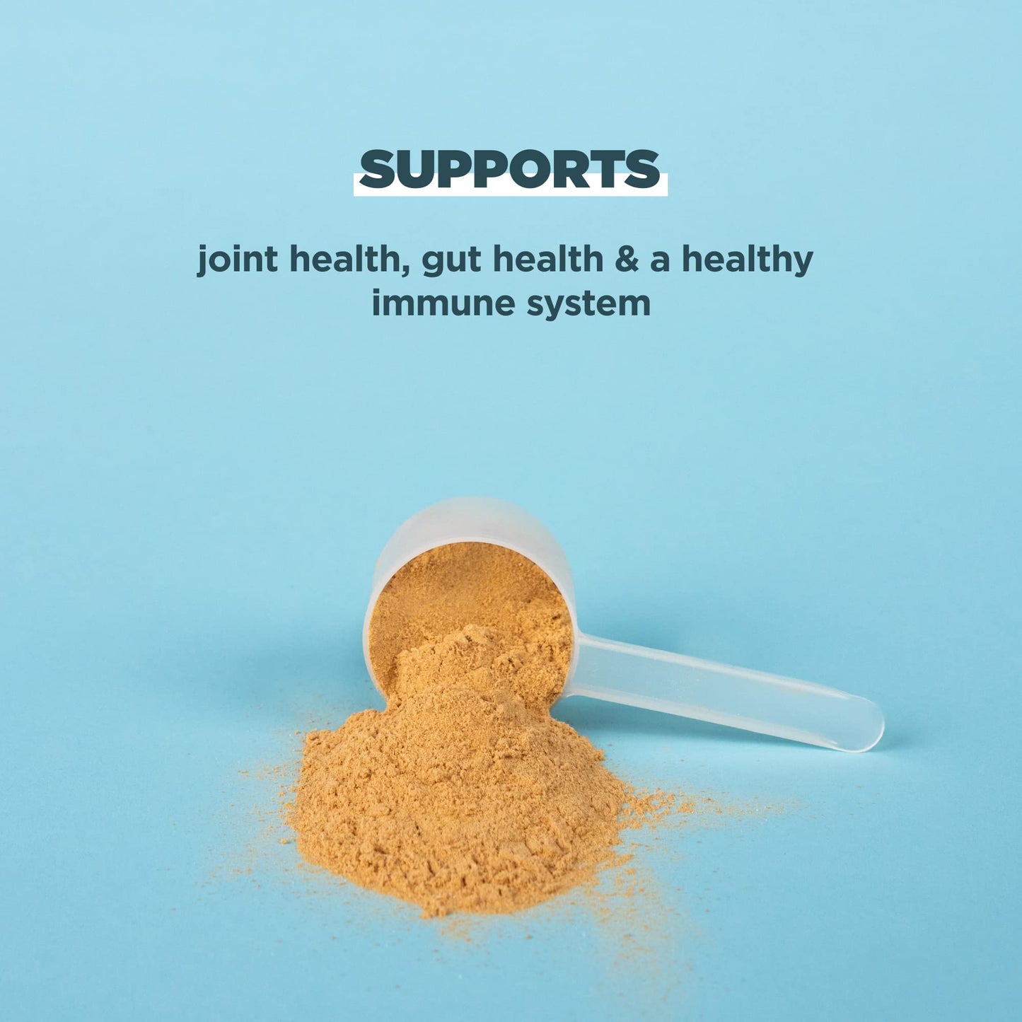 Ancient Nutrition Grass Fed, Cage Free, Bone Broth Protein Powder, 20g Protein, Hydrolyzed Collagen Peptides, Keto & Paleo Friendly, Supports Joint, Gut Health, Vanilla, 40 Servings - Nirvana Guru