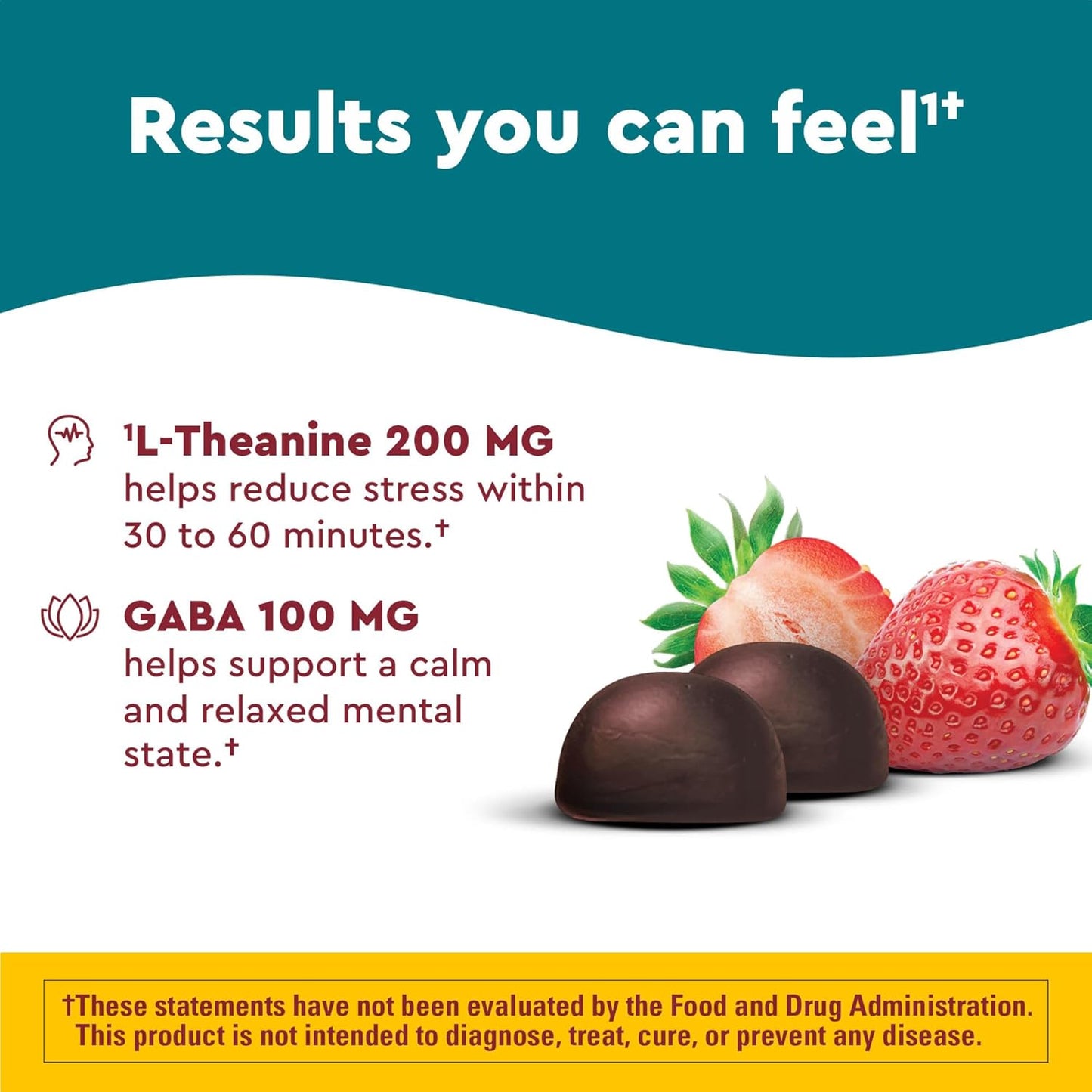 Nature Made Wellblends Stress Relief Gummies, L theanine 200mg to Help Reduce Stress, with GABA 100mg, Same Day Stress Support, 40 Strawberry Flavor Gummies - Nirvana Guru