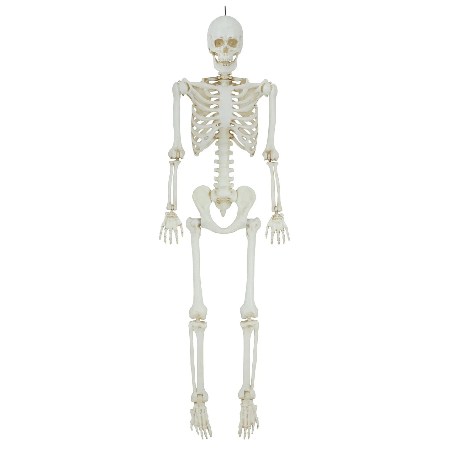 5ft Light Up Poseable Skeleton Decoration, Halloween Outdoor Decor, by Way To Celebrate nirvanaguru