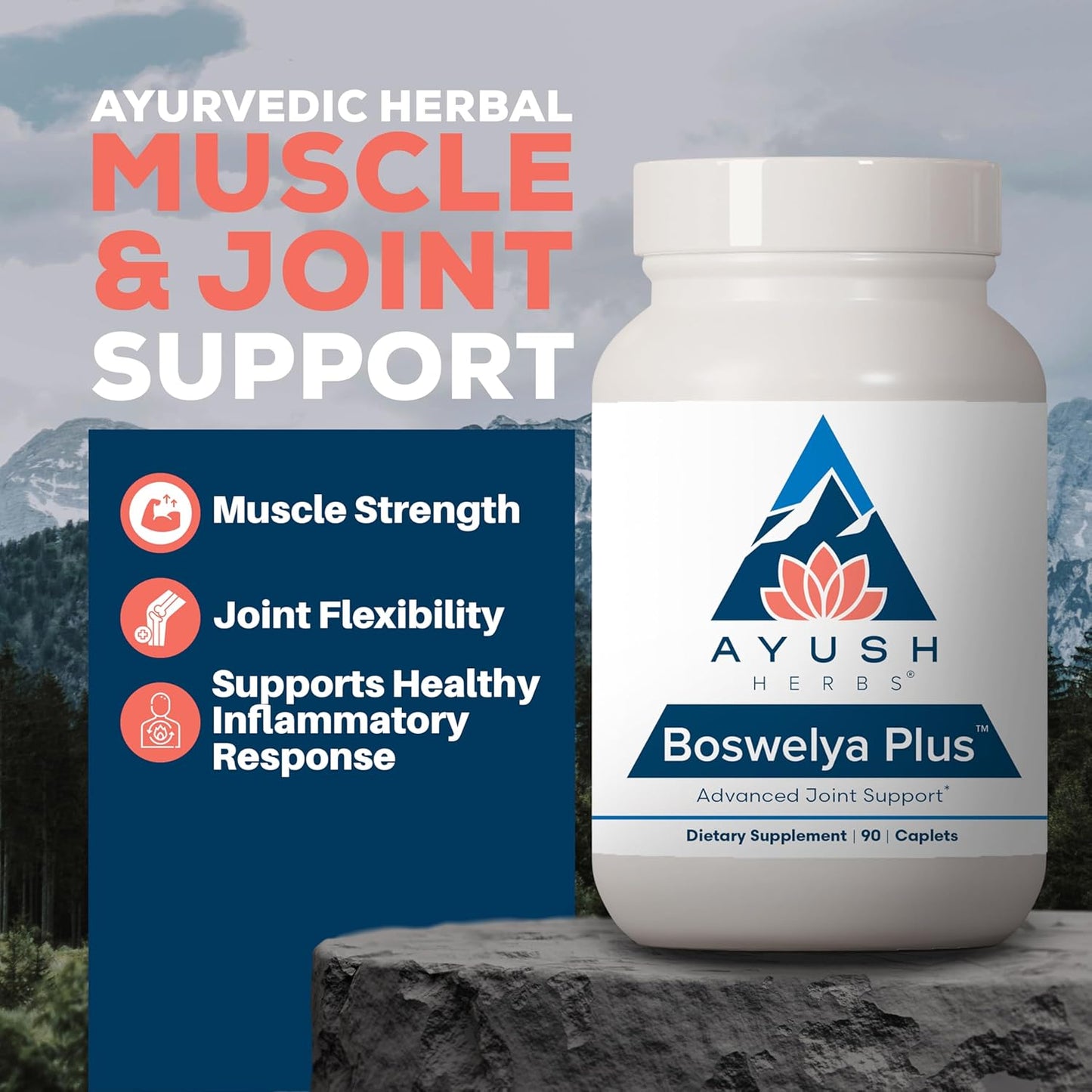 Ayush Herbs Boswelya Plus - Glucosamine Chondroitin Joint Support Supplement, Turmeric Muscle Support for Men & Women, Joint Care with Curcumin - 90 Vegetarian Capsules (1 Count) Nirvana Guru