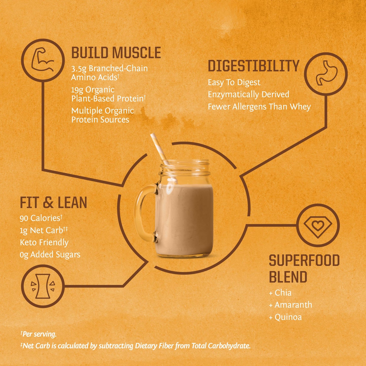 Brown Rice Protein Powder with Bcaa & Amino Acids Raw Rice Protein Shake Gluten Free Low Carb Dairy Free | Plant Based Classic Sprouted Brown Rice Protein Powder Natural 375g by Sunwarrior - Nirvana Guru