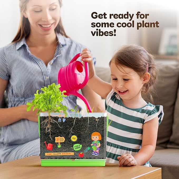 Dan&Darci Root Viewer Kit for Kids - Grow Your Own Plant for Boys & Girls Gifts - Science STEM Toy & Craft Growing Kits for Ages 4-8 Birthday Gifts for Boy, Girl 4, 5, 6, 7, 8, Year Old - Gardening nirvanaguru