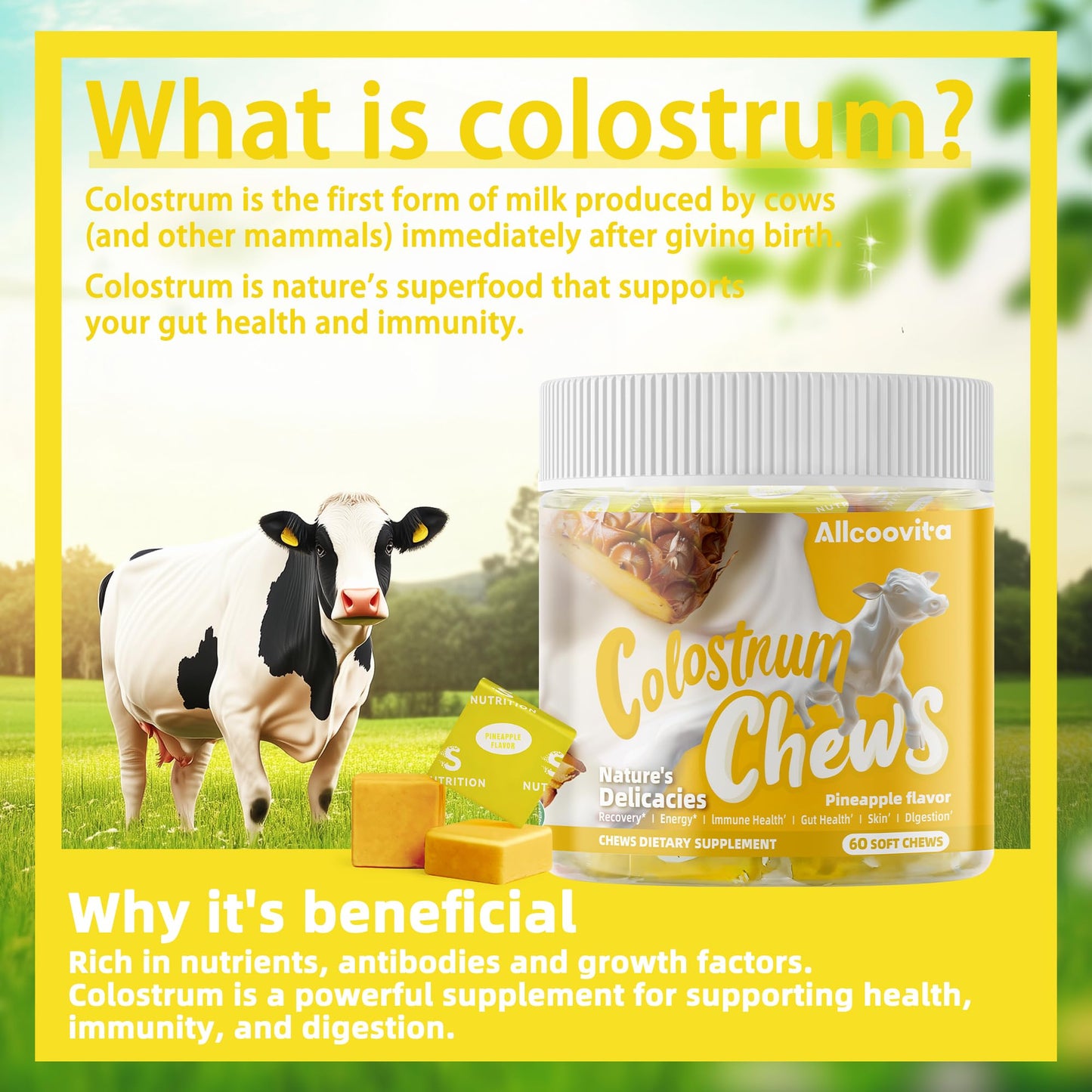 Bovine Colostrum Chews Supplement with probiotics for Gut Health, Bloating, Immune Support, Skin, Hair Growth and Beauty - Strawberry Flavor (60 Servings) Nirvana Guru