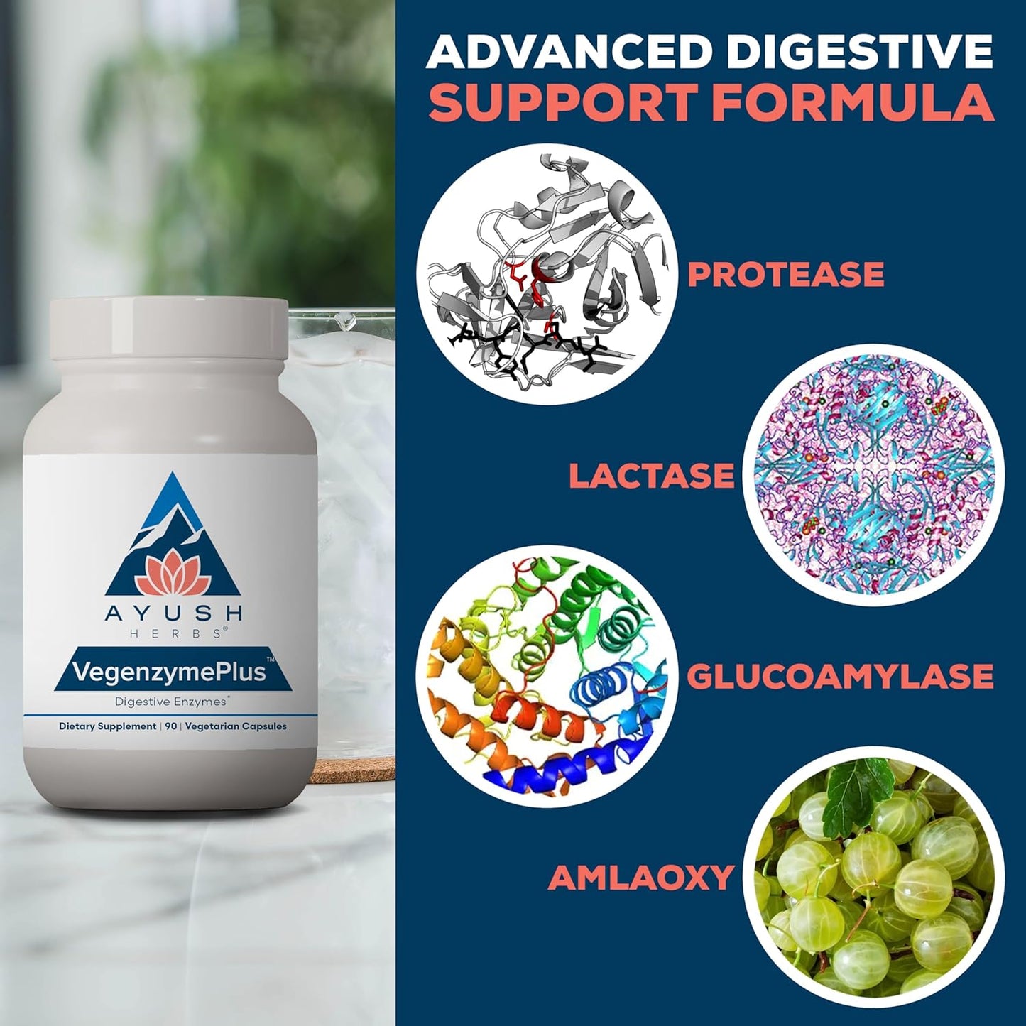 Ayush Herbs VegenzymePlus - Digestive Enzymes for Women & Men, Enzymes for Digestion with Bromelain, Lipase, Lactase, Protease, 100% Vegetarian Gut Health Supplement - 60 Capsules (1 Count) Nirvana Guru