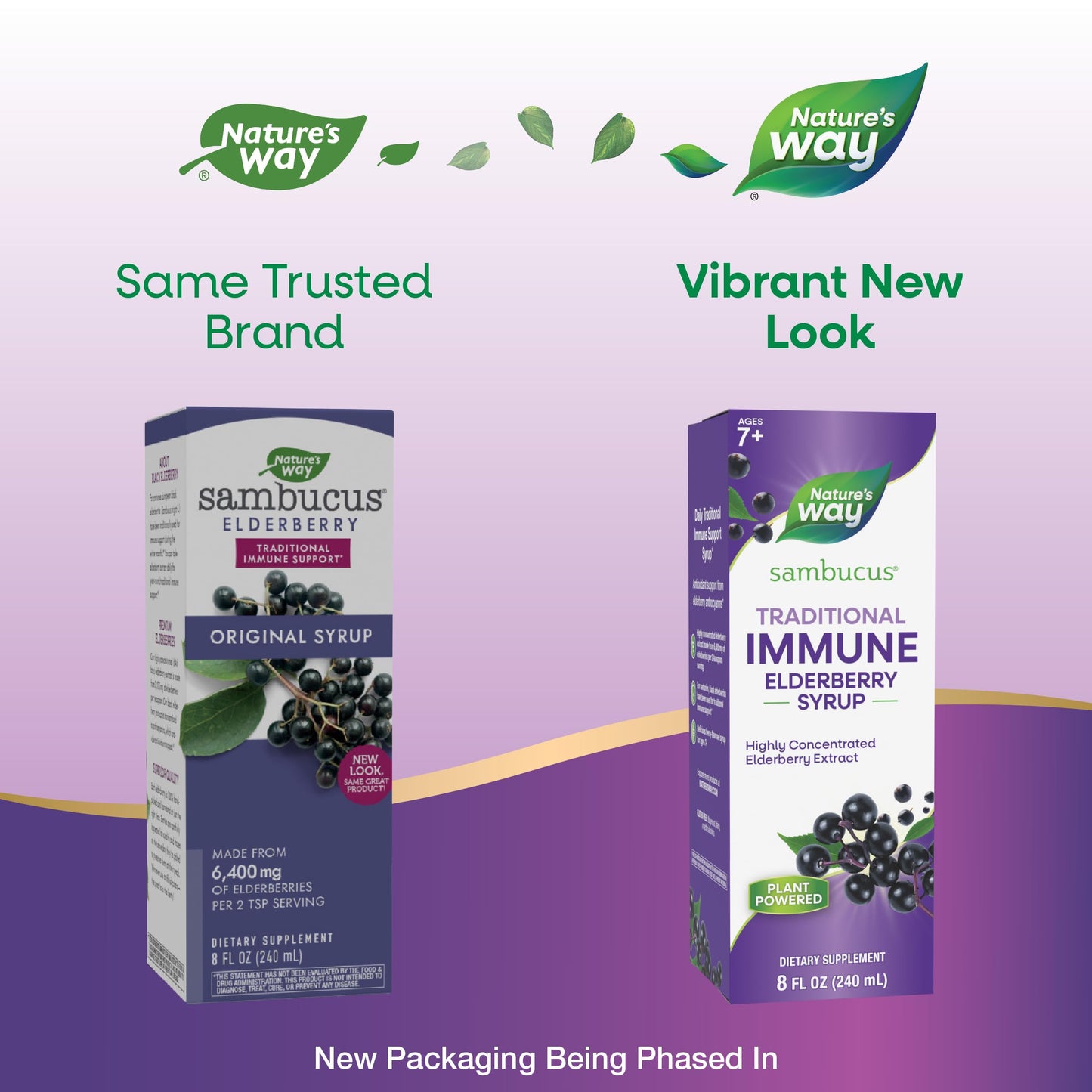 Nature’s Way Sambucus Elderberry Traditional Immune Syrup, Highly Concentrated Black Elderberry Extract, Traditional Immune Support*, Delicious Berry Flavored, 8 Fl Oz (Packaging May Vary) - Nirvana Guru