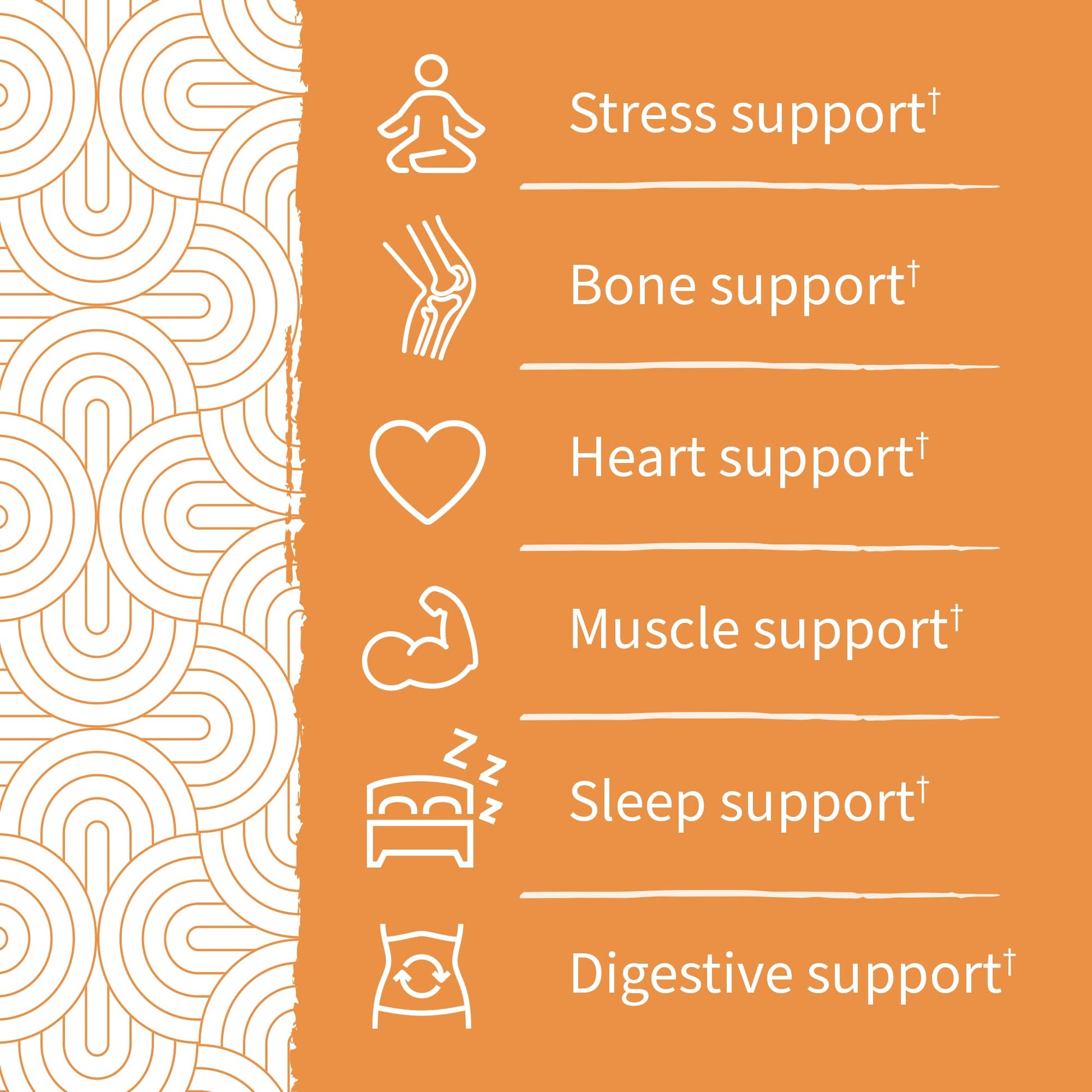 Garden of Life - Dr Formulated Magnesium Citrate Supplement with Prebiotics & Probiotics for Stress, Sleep & Recovery - Vegan, Gluten Free, Kosher, Non-GMO, No Added Sugars – 60 Raspberry Gummies - Nirvana Guru