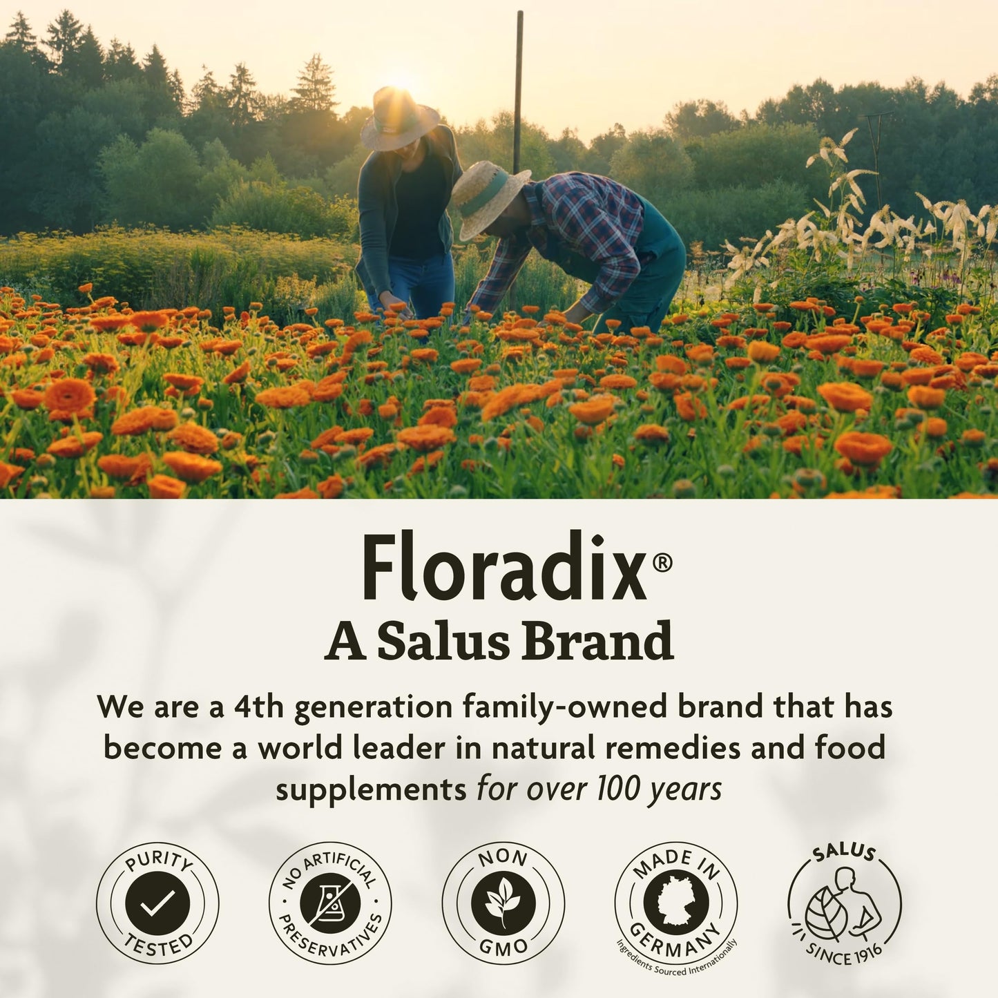 Floradix by Salus Iron & Herbs - Liquid Herbal Supplement for Energy Support* - Iron Supplement with Vitamin C & B Complex Vitamins - for Men & Women - 8.5 Fl Oz Nirvana Guru