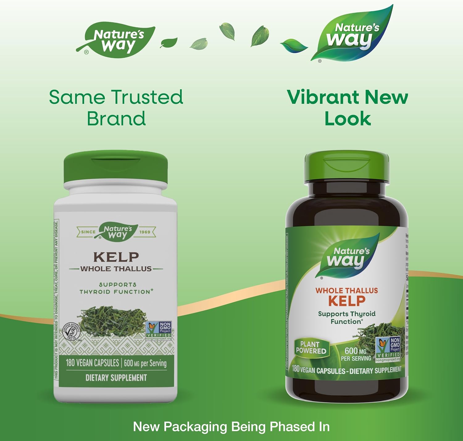 Nature's Way Kelp, Supports Thyroid Function*, 600 mg per Serving, Non-GMO Project Verified, 180 Capsules (Packaging May Vary) - Nirvana Guru