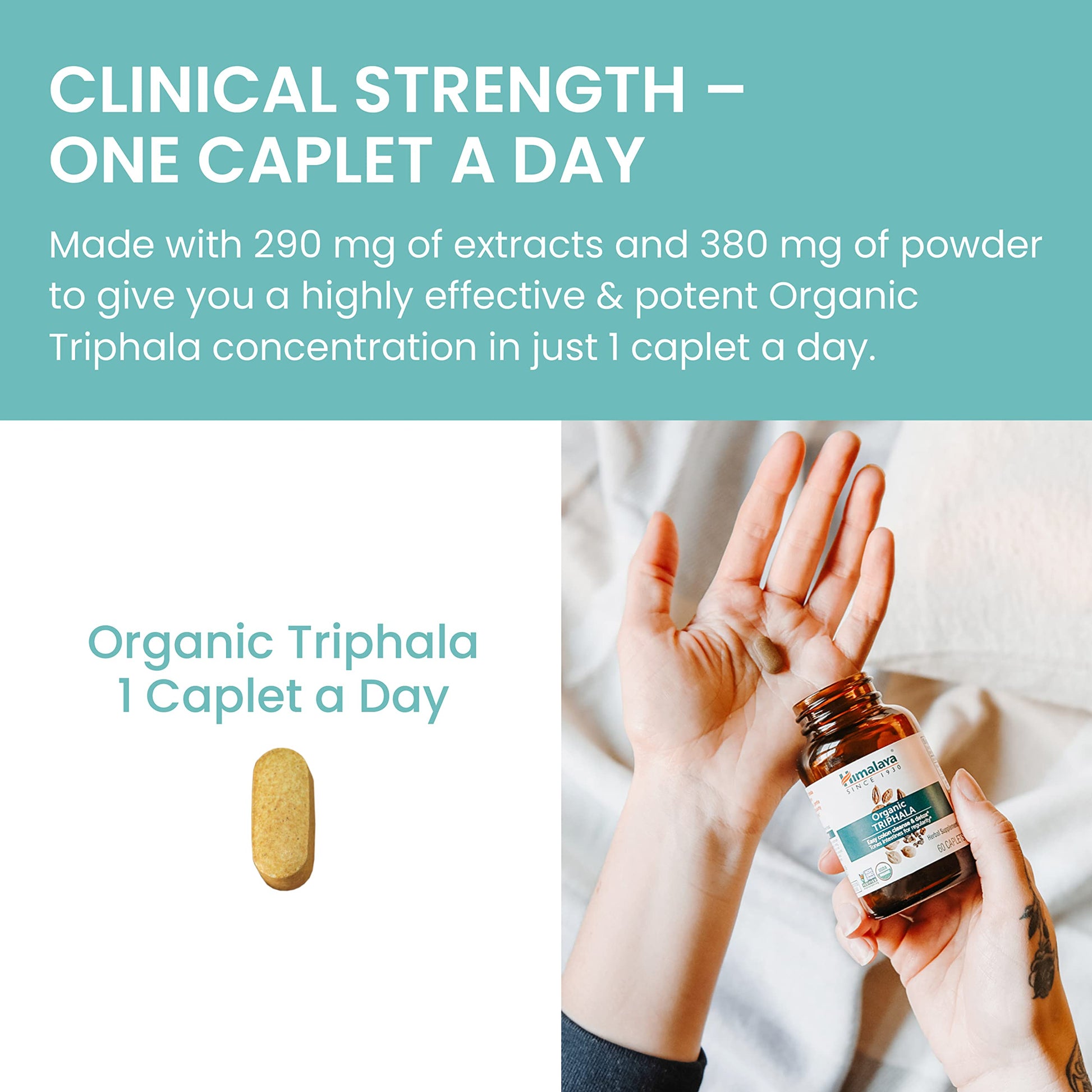 Himalaya Organic Triphala, 2 Month Supply, for Colon Cleanse, Detox & Occasional Constipation, USDA Certified Organic, Non-GMO, Gluten-Free, Extract & Powder Herbal Supplement, 688 mg, 60 Caplets - Nirvana Guru