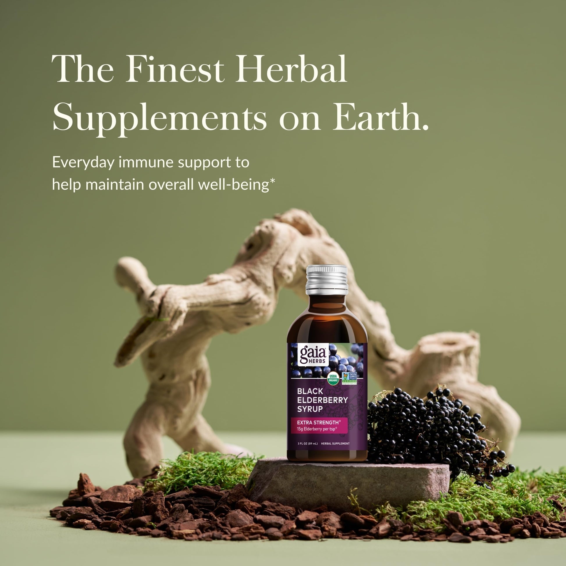 Gaia Herbs Black Elderberry(Sambucus Nigra) Syrup Extra Strength-Immune Support Supplement-Made with Organic Black Elderberries for Immune System-USDA Certified Organic Formula - Nirvana Guru