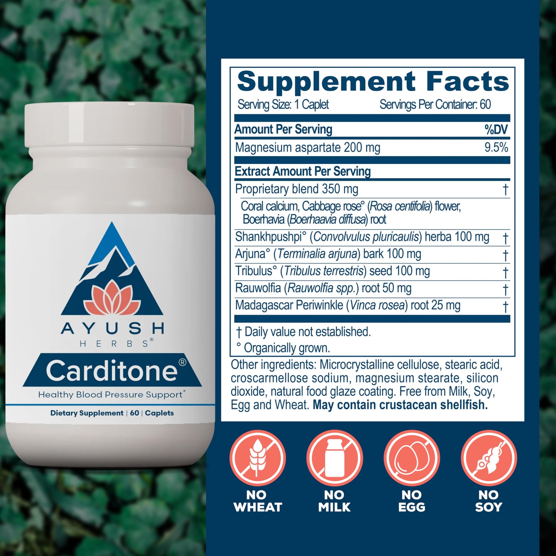 Ayush Herbs Carditone - Natural Heart Health Supplement for Women & Men, BP Formula, Holistic Heart Support with Rauwolfia, Arjuna, Calcium, and Magnesium - 60 Vegetarian Caplets (1 Count) Nirvana Guru