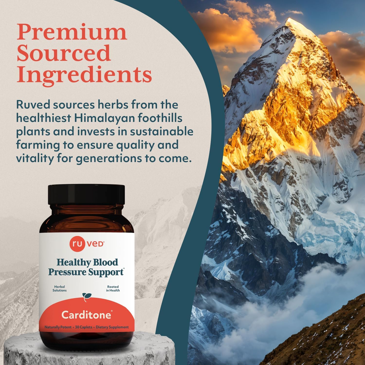 ruved Carditone, Doctor-Formulated, All-Natural Ayurvedic Herbal Supplement, Trusted for Over 30 Years, 30 Vegetarian Caplets Nirvana Guru