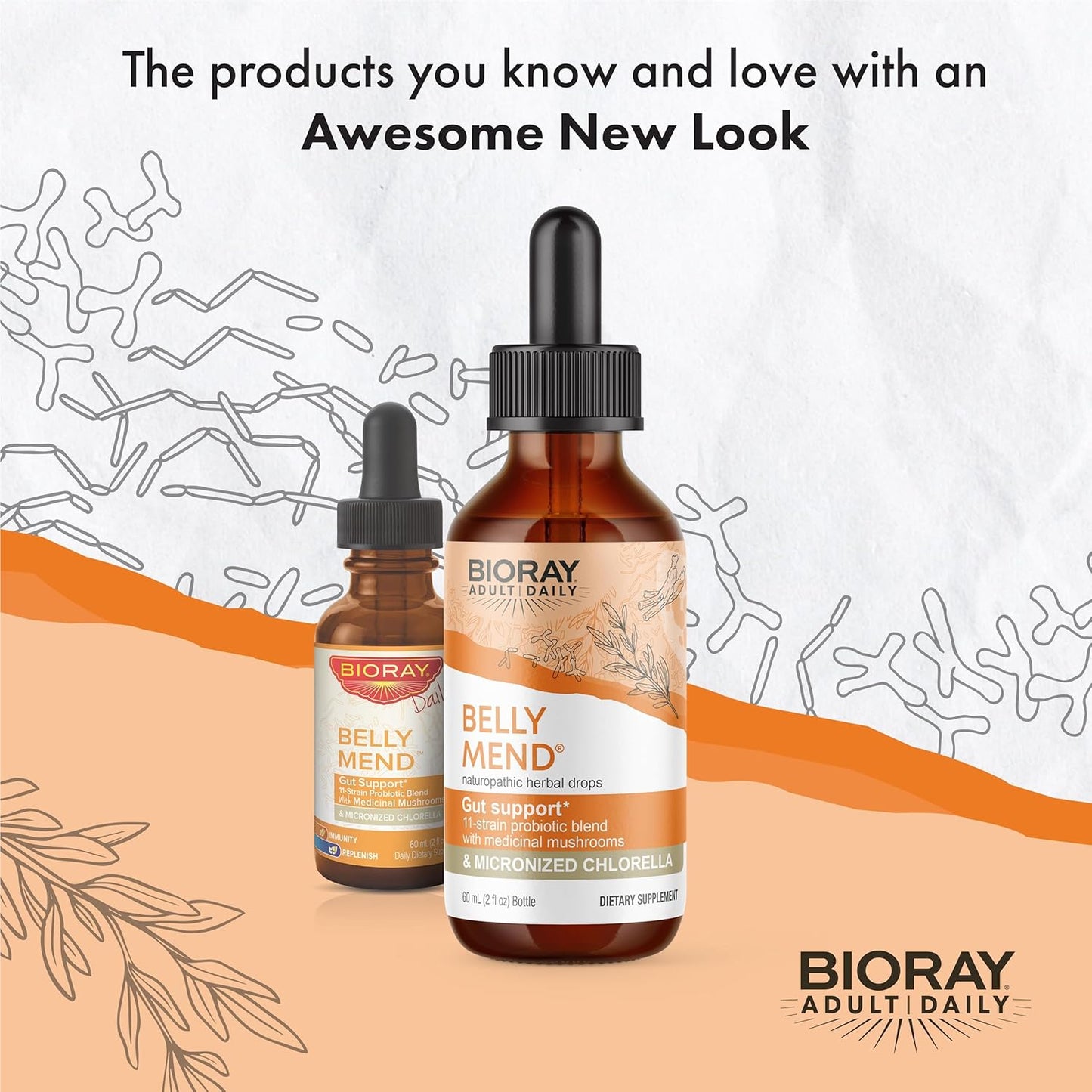 BIORAY Daily Belly Mend - 2 fl oz - 11-Strain Probiotic Blend with Medicinal Mushrooms - Supports Healthy Gut & Bowel Functions - Non-GMO, Vegetarian, Gluten Free Nirvana Guru