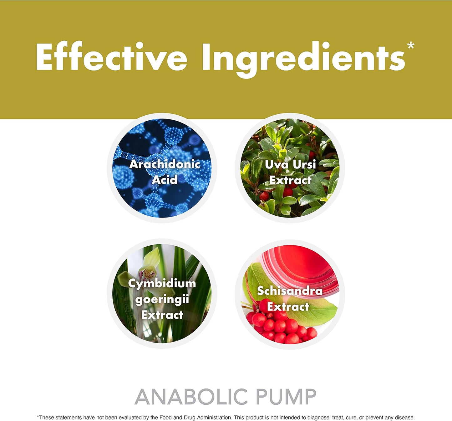 Anabolic Pump, Advanced Pump Formula, Increase Muscle Pumps*, Maximize Nutrient Delivery* (90 Capsules) Nirvana Guru