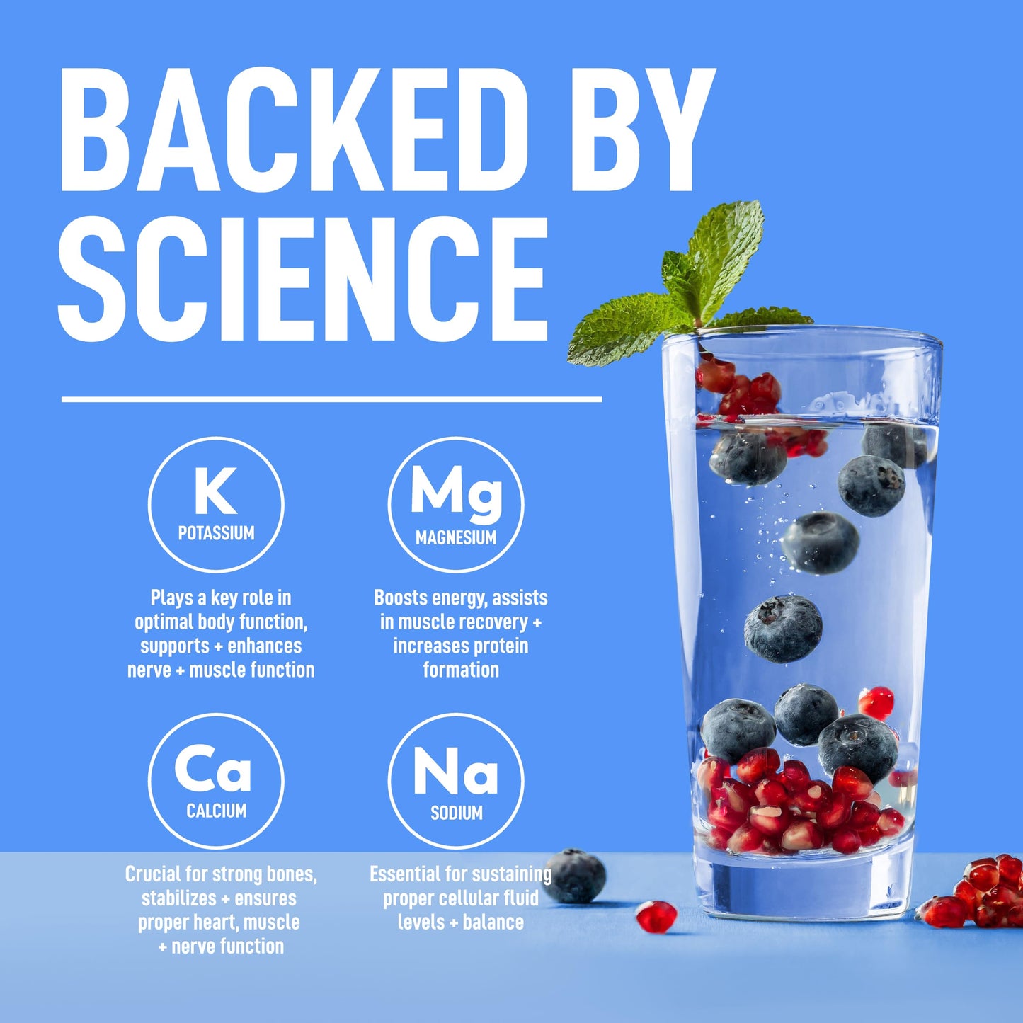 Keppi Electrolytes Powder Packets Assorted Flavors – Sugar Free Hydration Drink Mix with Potassium, Magnesium, Sodium – 30 Hydration Packets – Keto, Vegan, Fasting-Friendly, Zero Calorie - Nirvana Guru