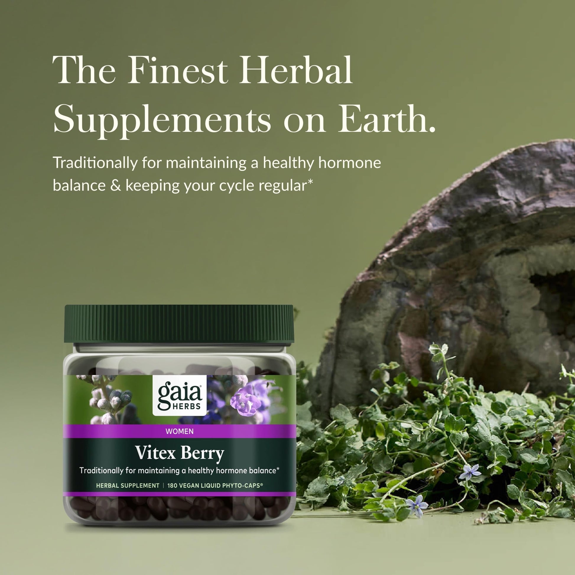 Gaia Herbs Vitex Berry - Supports Hormone Balance & Fertility in Women - 60 Vegan Liquid Phyto-Capsules (30-Day Supply) - Nirvana Guru