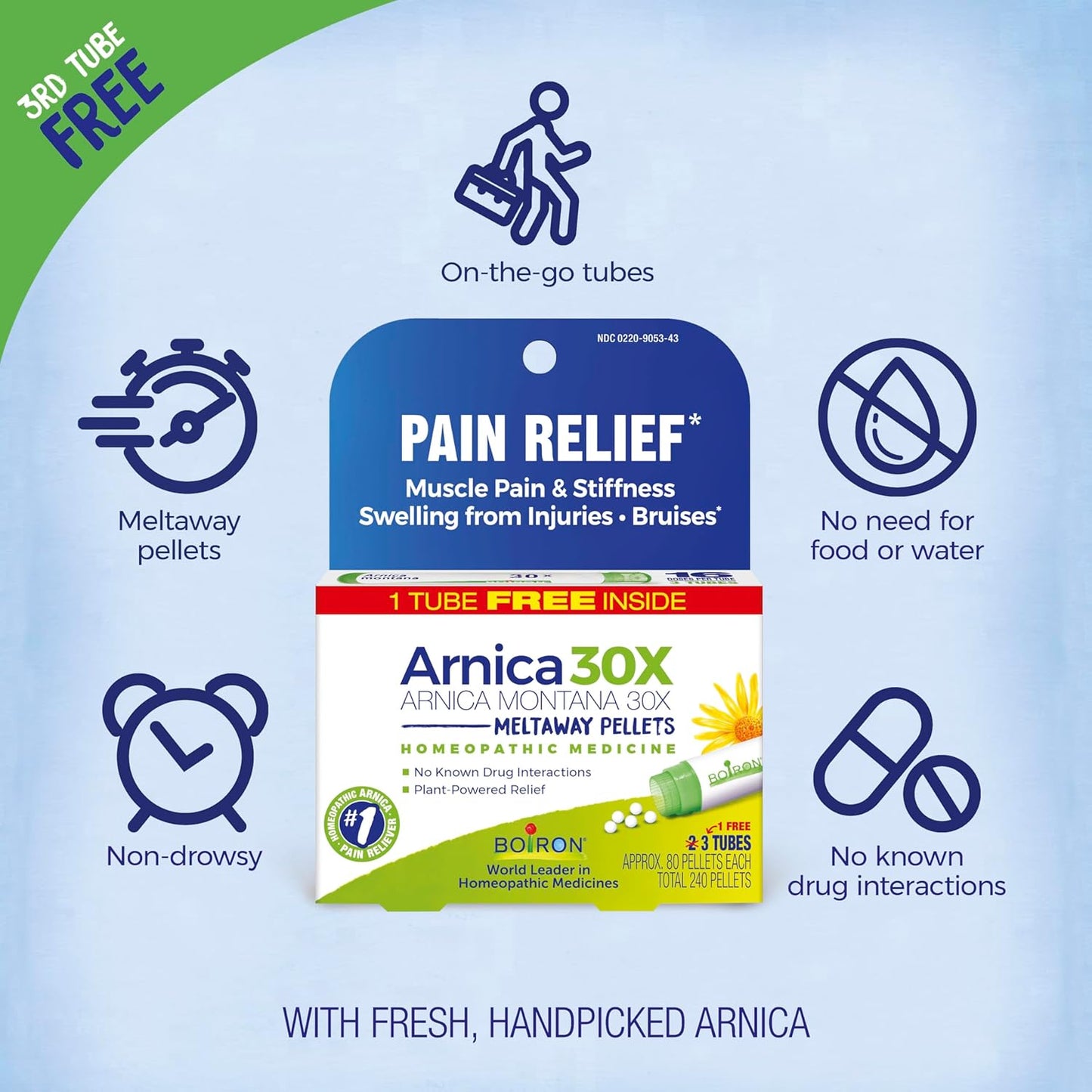 Boiron Arnica Montana 30X Homeopathic Medicine for Relief from Muscle Pain, Muscle Stiffness, Swelling from Injury, and Discoloration from Bruises - 3 Count (240 Pellets) - Nirvana Guru