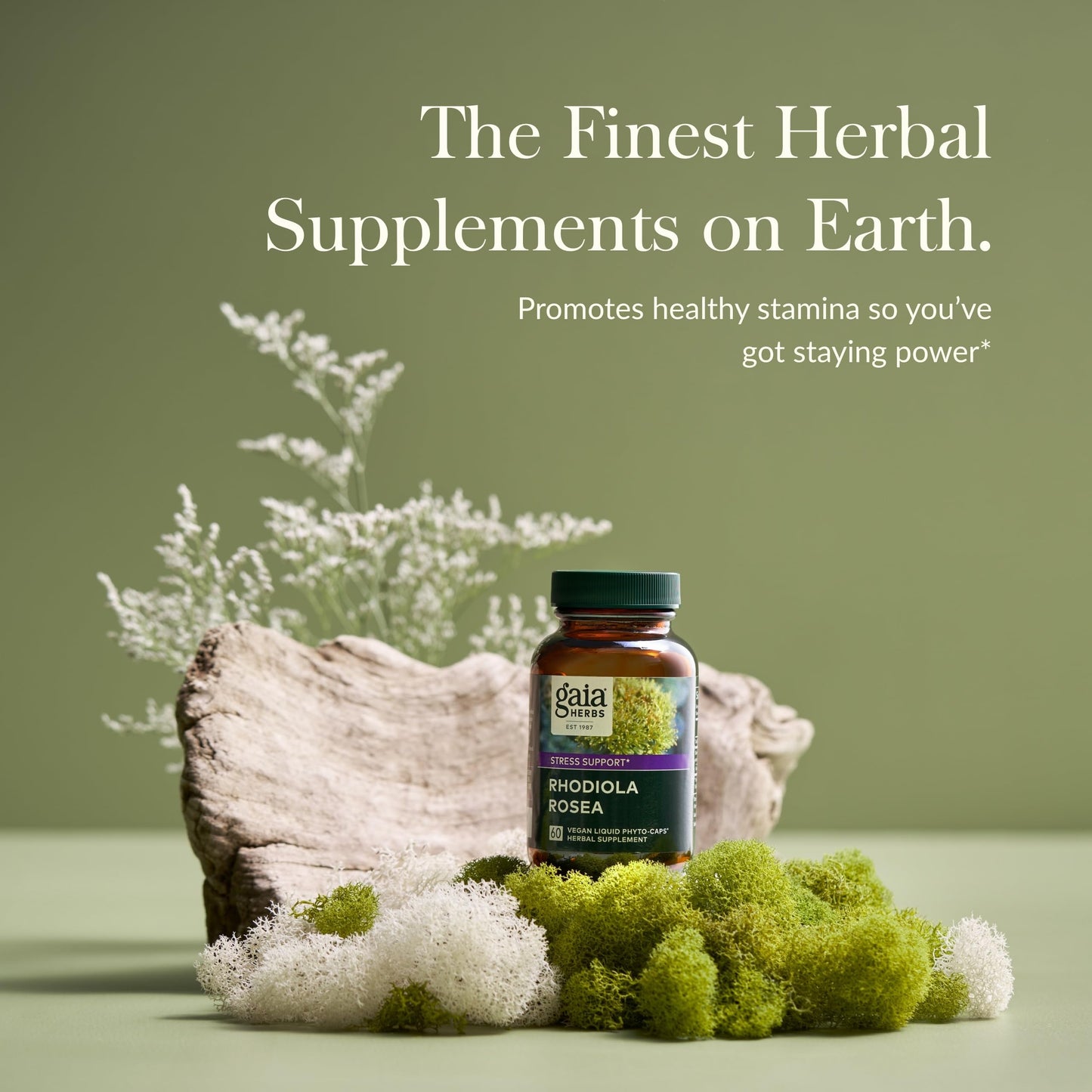 Gaia Herbs Rhodiola Rosea - Stress Support Supplement Traditionally for Supporting Healthy Stamina and Endurance - with Siberian Rhodiola Root Extract - 60 Vegan Liquid Phyto-Capsules (30-Day Supply) - Nirvana Guru