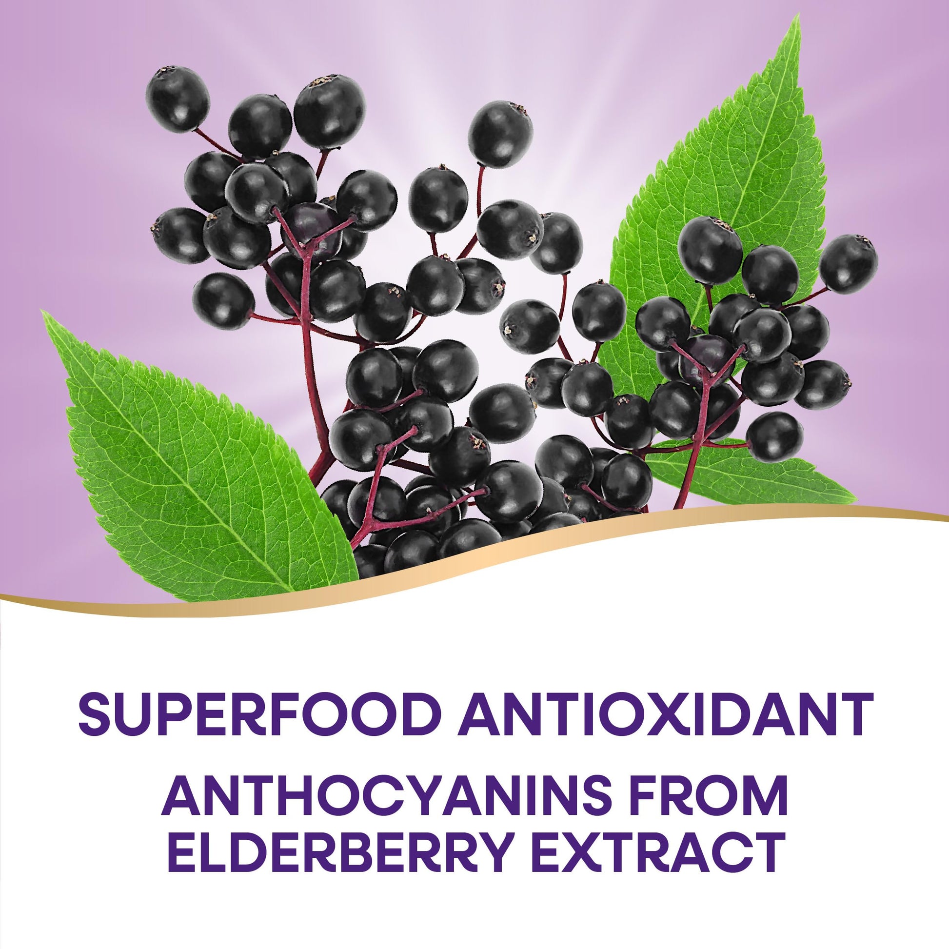 Nature's Way Sambucus Elderberry Immune Gummies for Kids, Immune Support Gummies*, with Black Elderberry Extract, Vitamin C and Zinc, 60 Gummies (Packaging May Vary) - Nirvana Guru