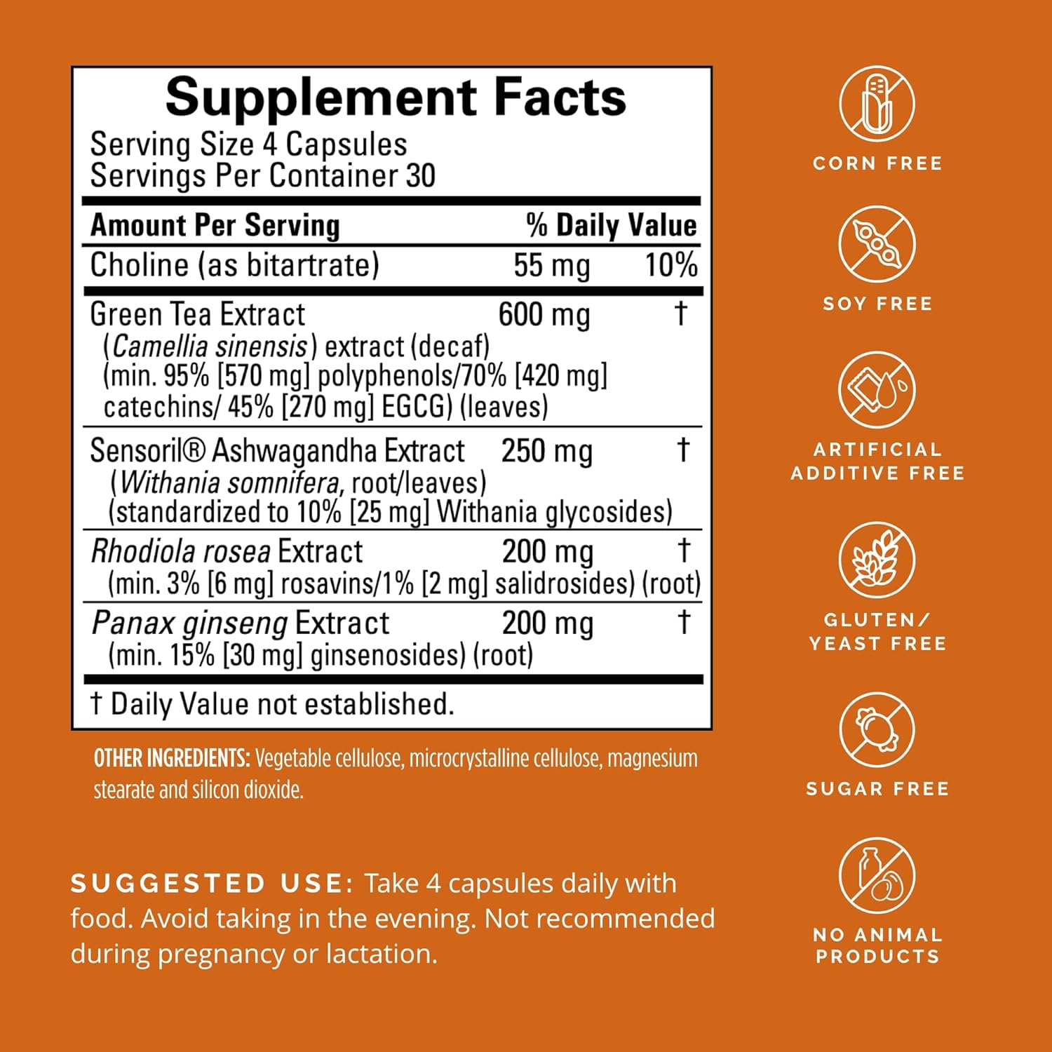 Dr Amen BrainMD Focus & Energy - 120 Capsules - Mental Endurance Booster, Promotes Concentration & Attention - Caffeine Free, Gluten Free - 30 Servings Nirvana Guru