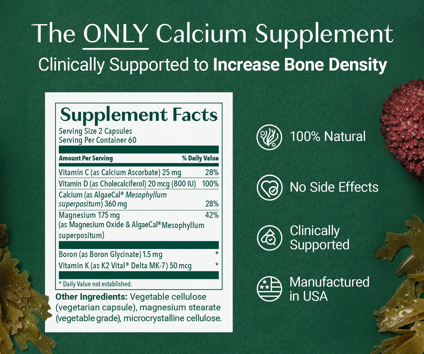 ALGAECAL Organic Red Algae Calcium Supplement for Bone Density, Vitamin K2 MK7 (100mg), Vitamin D3 (1600 IU), Magnesium (350mg) & Trace Minerals & Strength, Easy to Swallow, 120 Veggie Caps Nirvana Guru