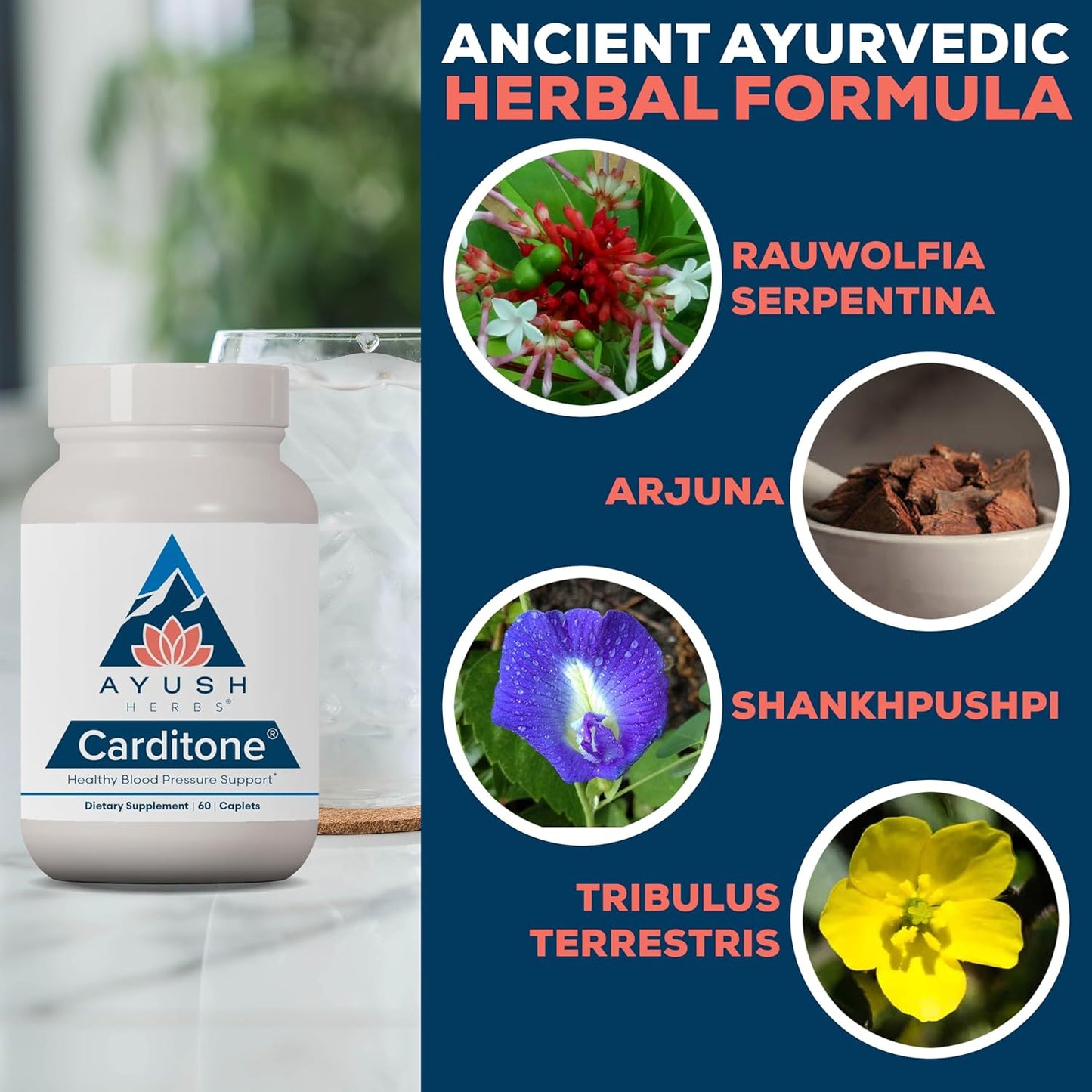 Ayush Herbs Carditone - Natural Heart Health Supplement for Women & Men, BP Formula, Holistic Heart Support with Rauwolfia, Arjuna, Calcium, and Magnesium - 60 Vegetarian Caplets (1 Count) Nirvana Guru