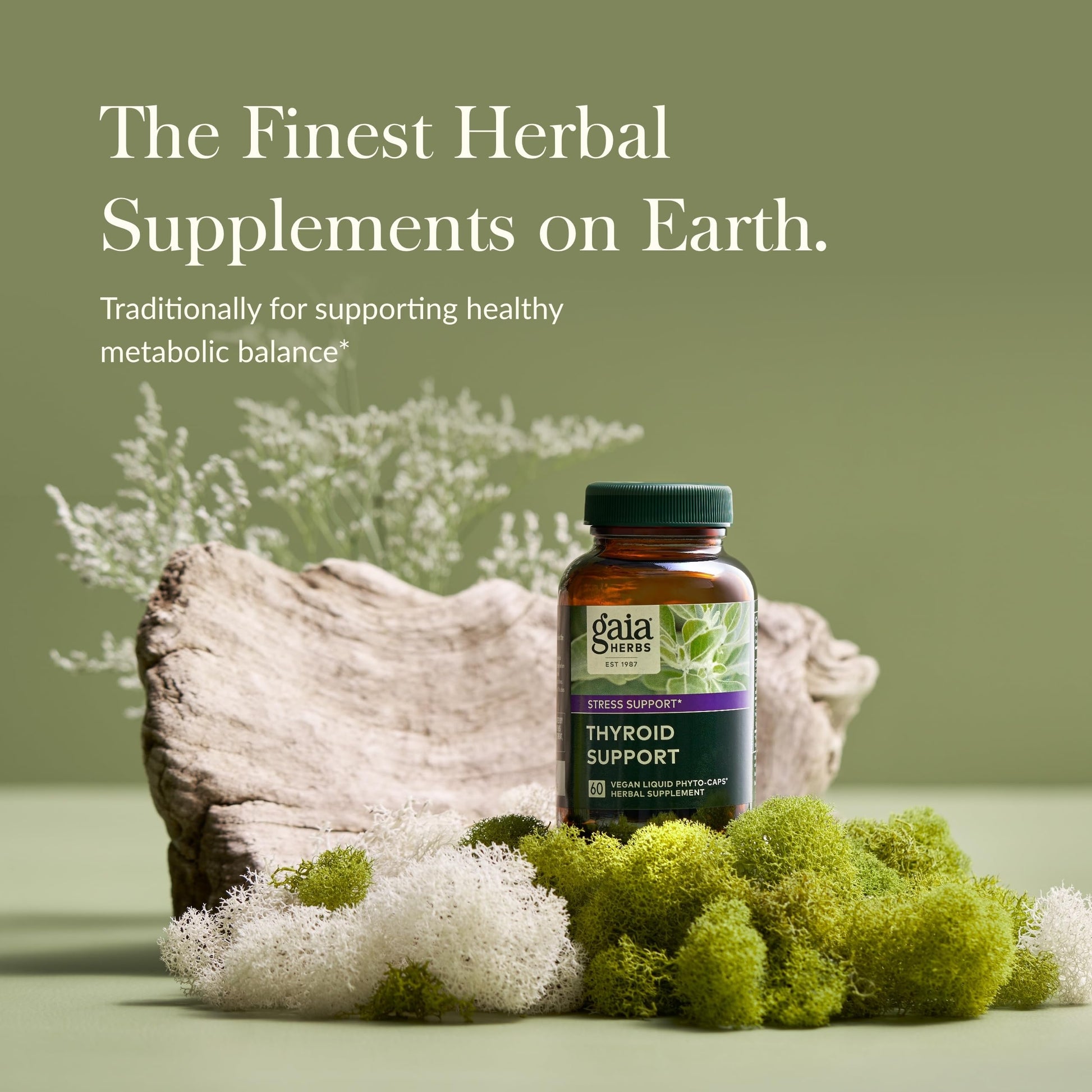 Gaia Herbs Thyroid Support - Made with Ashwagandha, Kelp, Brown Seaweed, and Schisandra to Support Healthy Metabolic Balance and Overall Well-Being - 60 Vegan Liquid Phyto-Capsules (20-Day Supply) - Nirvana Guru