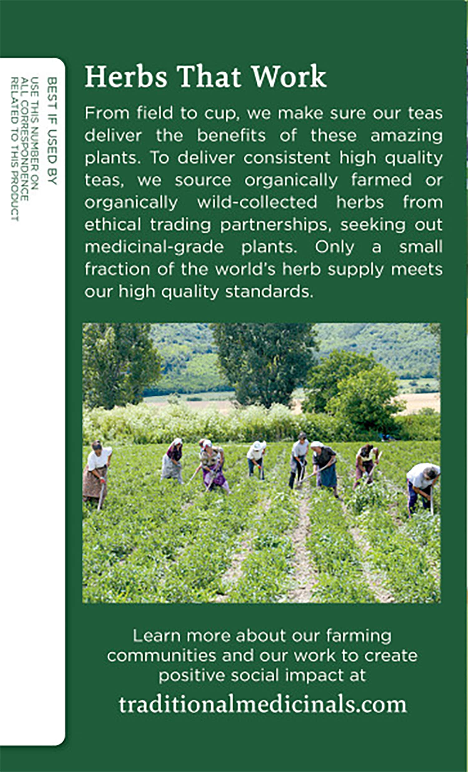 Traditional Medicinals Organic Red Clover, Caffeine Free, 16 Wrapped Tea Bags, 1.13 oz (32 g) - Nirvana Guru